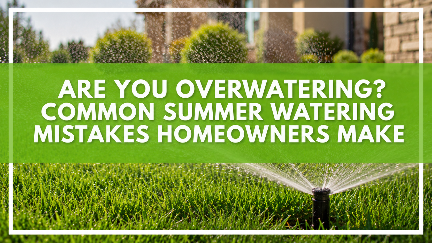 Are You Overwatering? Common Summer Watering Mistakes Homeowners Make