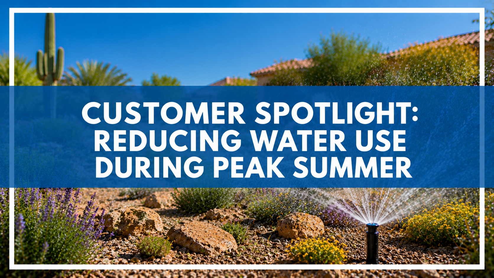 Customer Spotlight: Reducing Water Use During Peak Summer