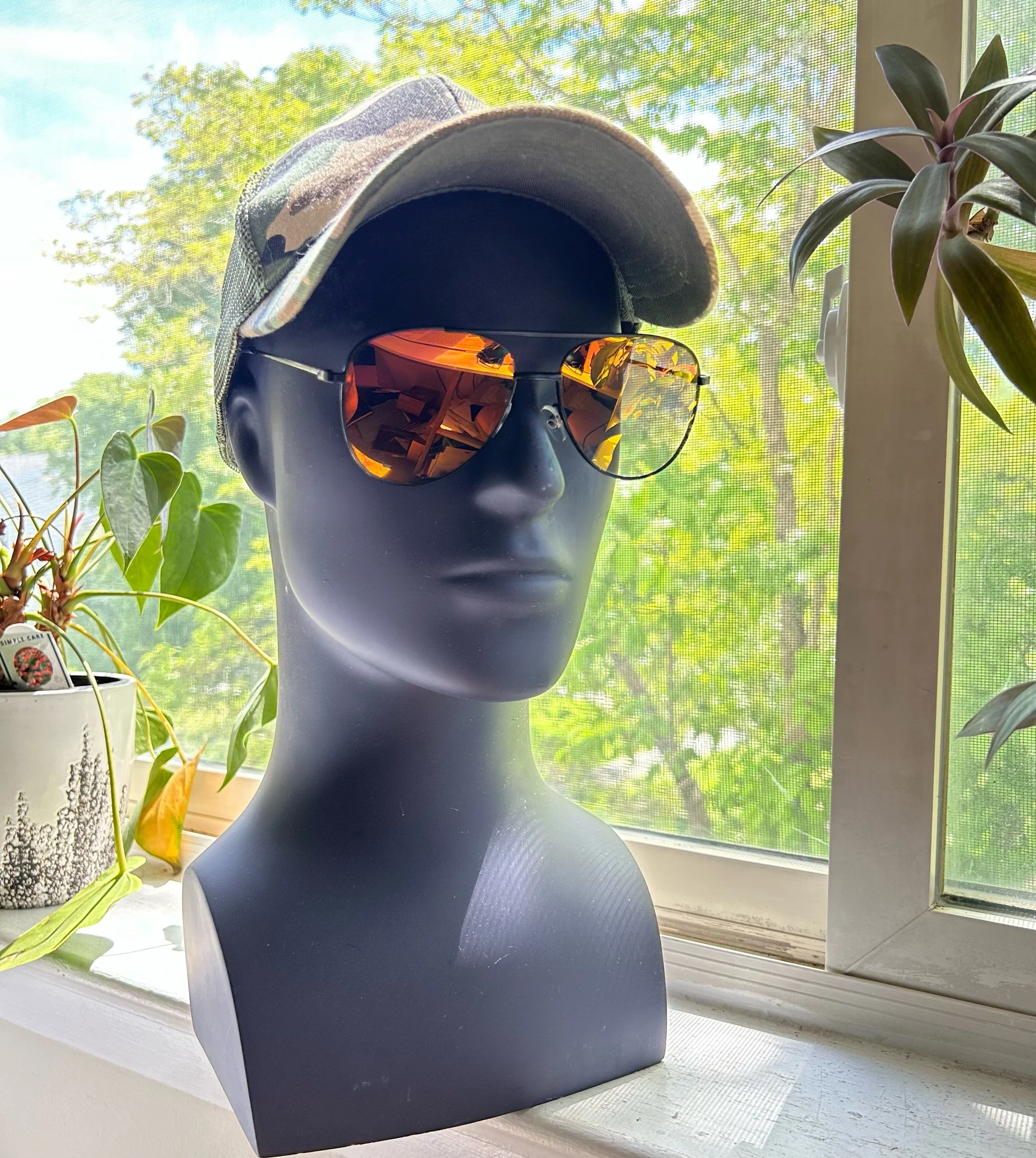 Aviator "See you Later" Regular