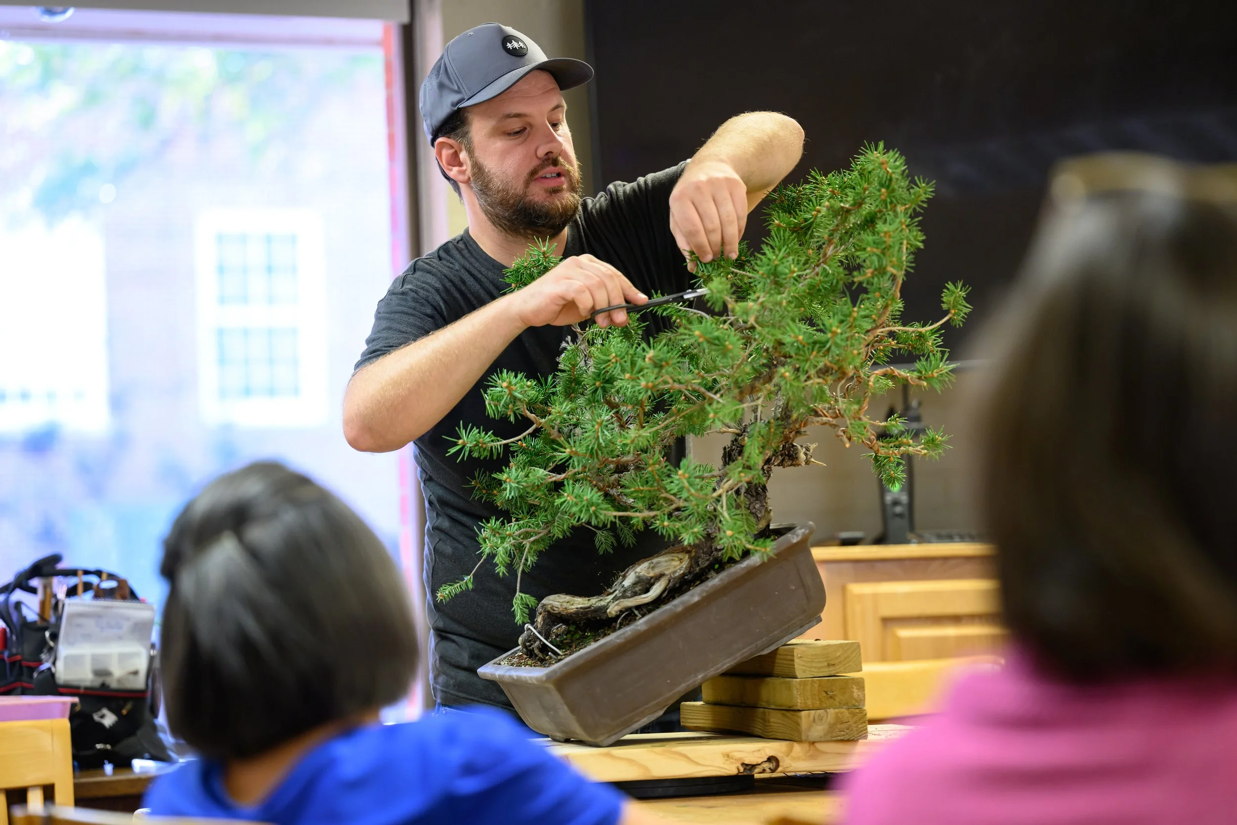Bonsai Workshop 