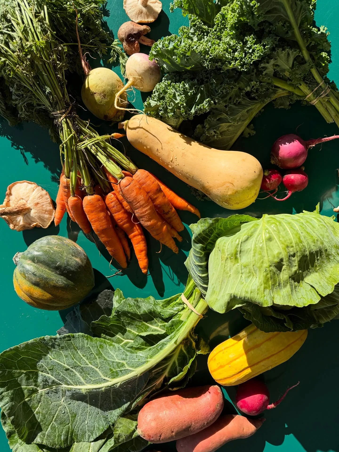 In a post-holiday food coma? We&rsquo;re here with lots of fresh, local produce to get you back on track. Come shop our selection of local winter produce. From winter squashes to root vegetables to fresh greens and mushrooms, we&rsquo;ve got it all.
