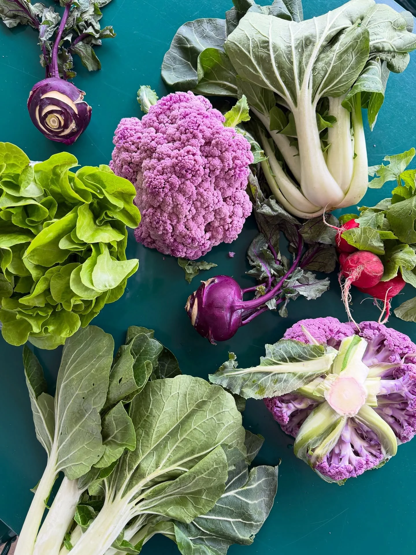💜 It&rsquo;s beginning to look like spring 💜

@nativeson.farm brought lots of goodies this week, including bok choy, purple cauliflower, kohlrabi, butter lettuce and radishes.

@nativeson.farm is @cngfarming grown, which means all their crops are o