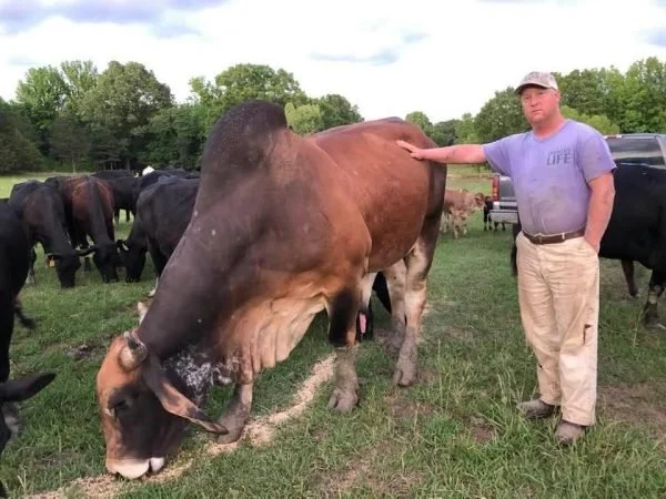 Lunch & Learn: Billy Ray's Farm