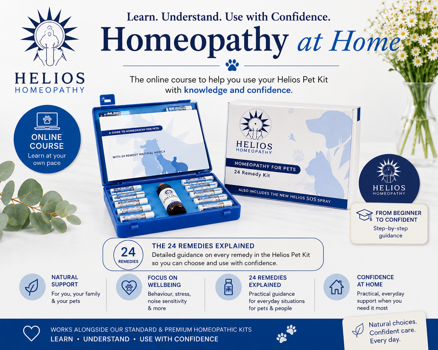 Biochemic Tissue Salts Short Course — Homeopath Shaz