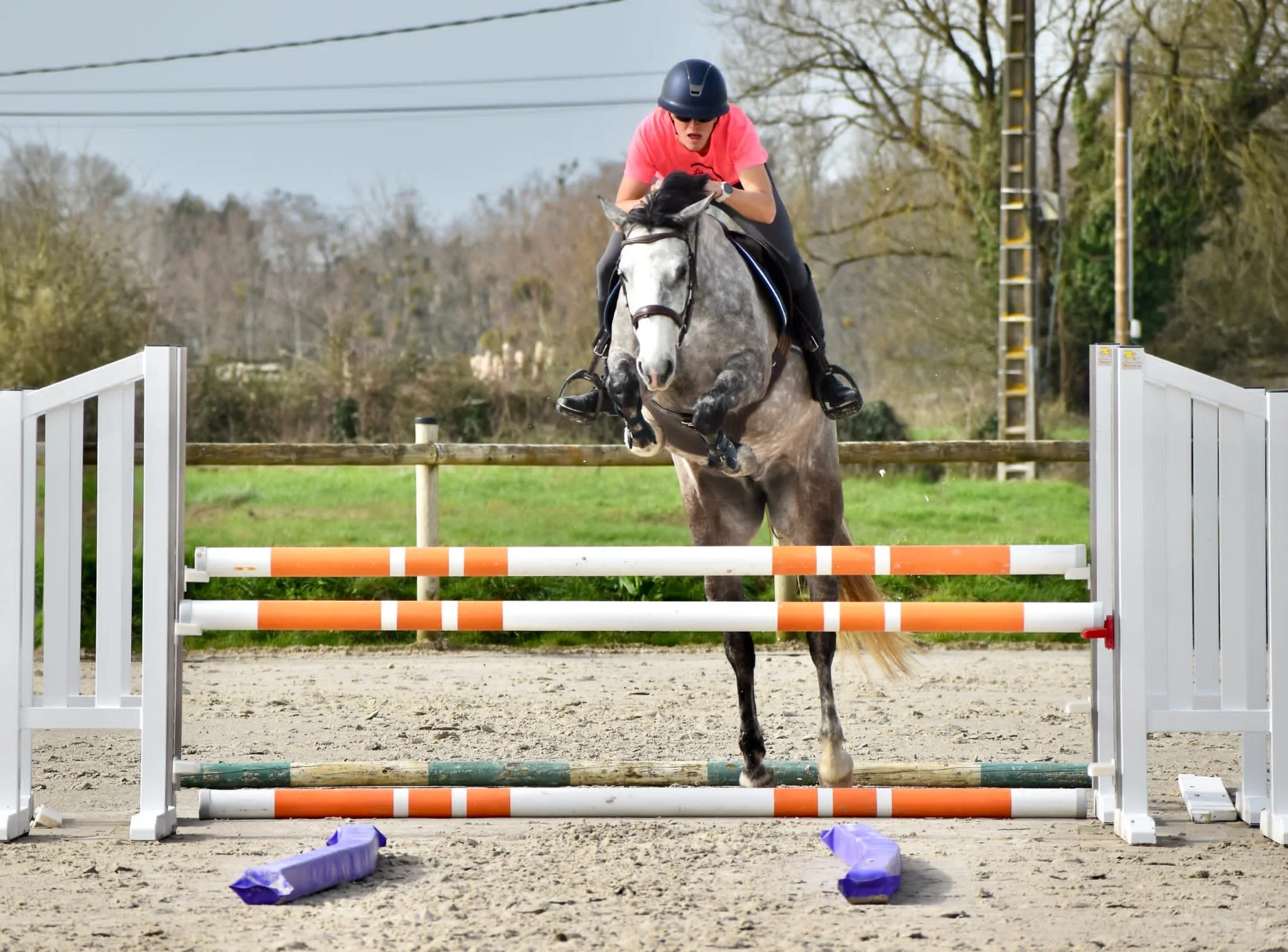Cheval_obstacles