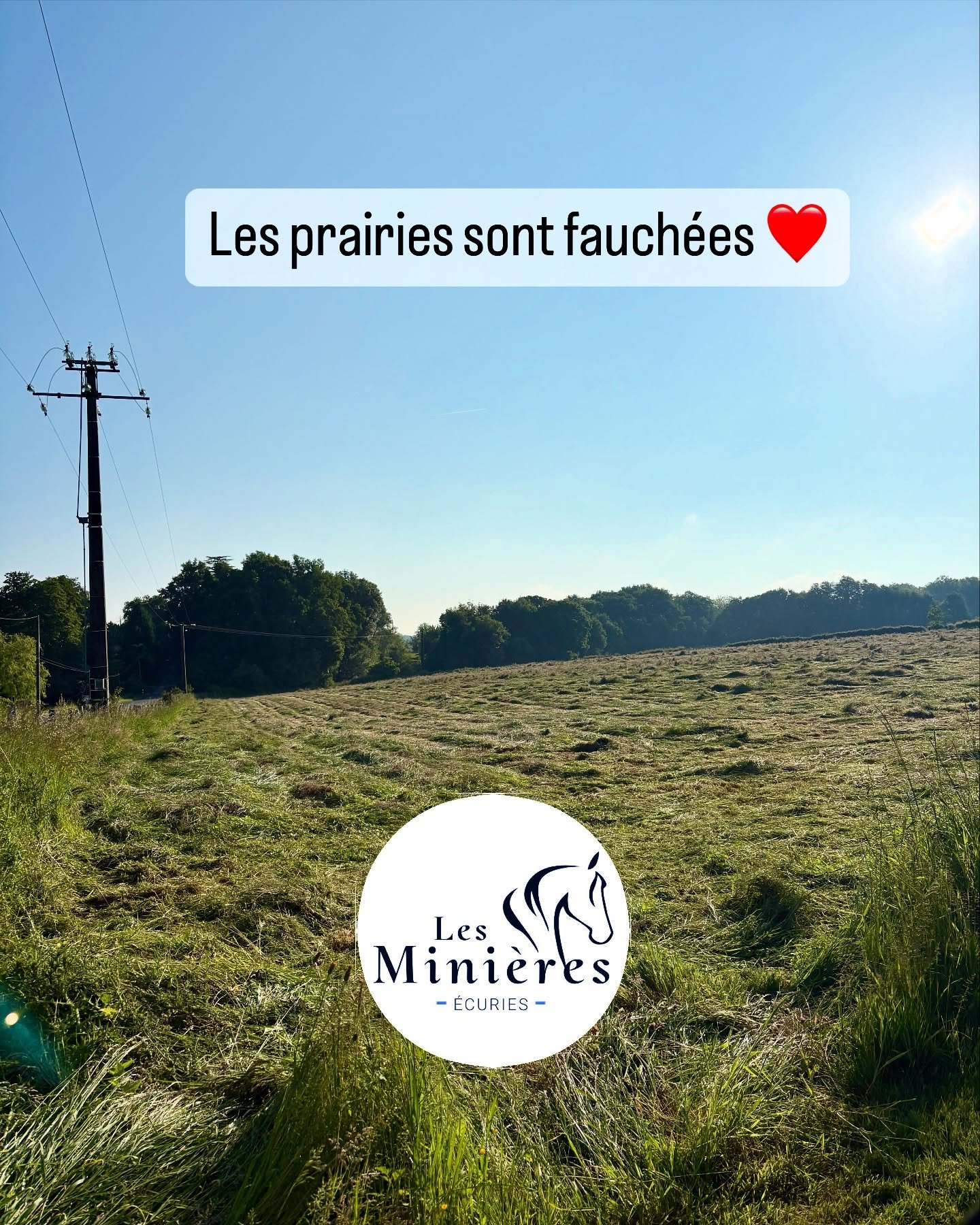 Nos 9 hectares de prairies sont fauch&eacute;s 😊. Place au fanage aujourd&rsquo;hui, demain et samedi si besoin. Le beau-temps nous accompagne ❤️. Le foin devrait &ecirc;tre pas mal du tout cette ann&eacute;e 😊. Lorsque les balles seront mises &agr