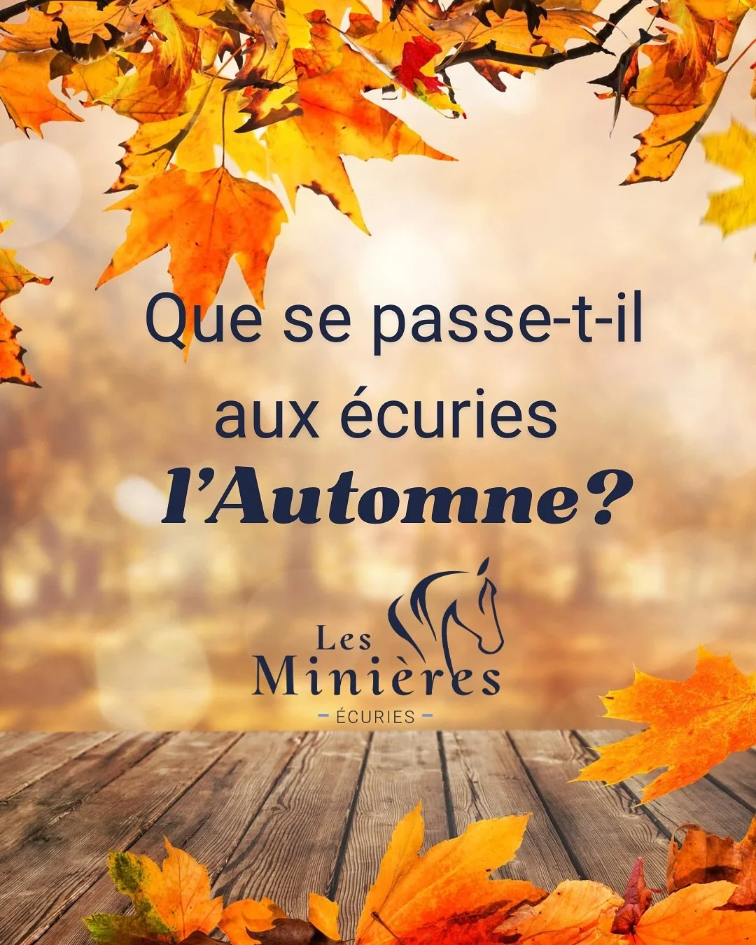 Que se passe-t&rsquo;il aux @ecurieslesminieres l&rsquo;automne? L&rsquo;automne est une p&eacute;riode de transition importante pour les chevaux, qui se pr&eacute;parent &agrave; l&rsquo;arriv&eacute;e de l&rsquo;hiver. Nous pouvons les accompagner 