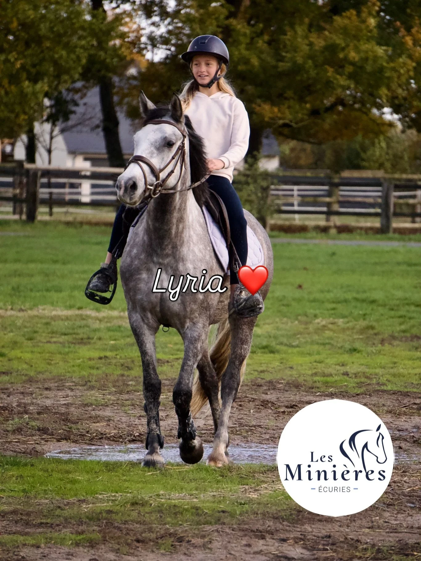 Lyria La Bruneti&egrave;re. Un an d&eacute;j&agrave; que notre petite Lili nous a rejointe aux &eacute;curies ❤️. Elle n&rsquo;avait que 3 ans quand nous sommes all&eacute;s la chercher au pr&eacute; (un vrai coup de poker). Le d&eacute;bourrage s&rs