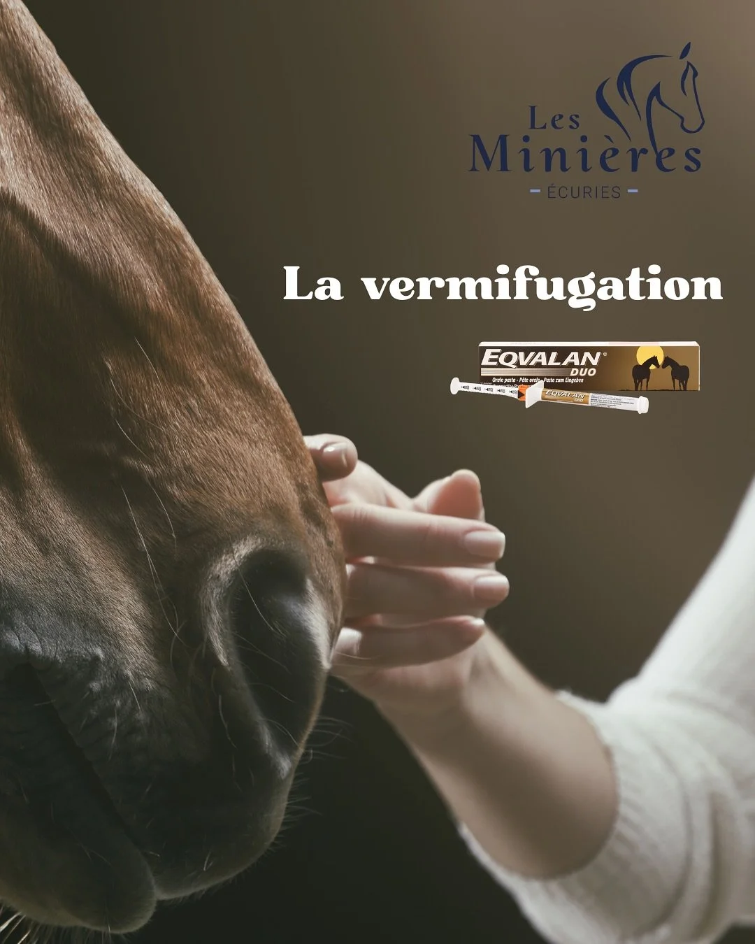 L&rsquo;automne, une p&eacute;riode cl&eacute; pour la vermifugation des chevaux. Je vous partage notre protocole sur l&rsquo;ann&eacute;e. N&rsquo;h&eacute;sitez pas &agrave; partager vos bonnes pratiques dans les commentaires 😊. https://www.ecurie