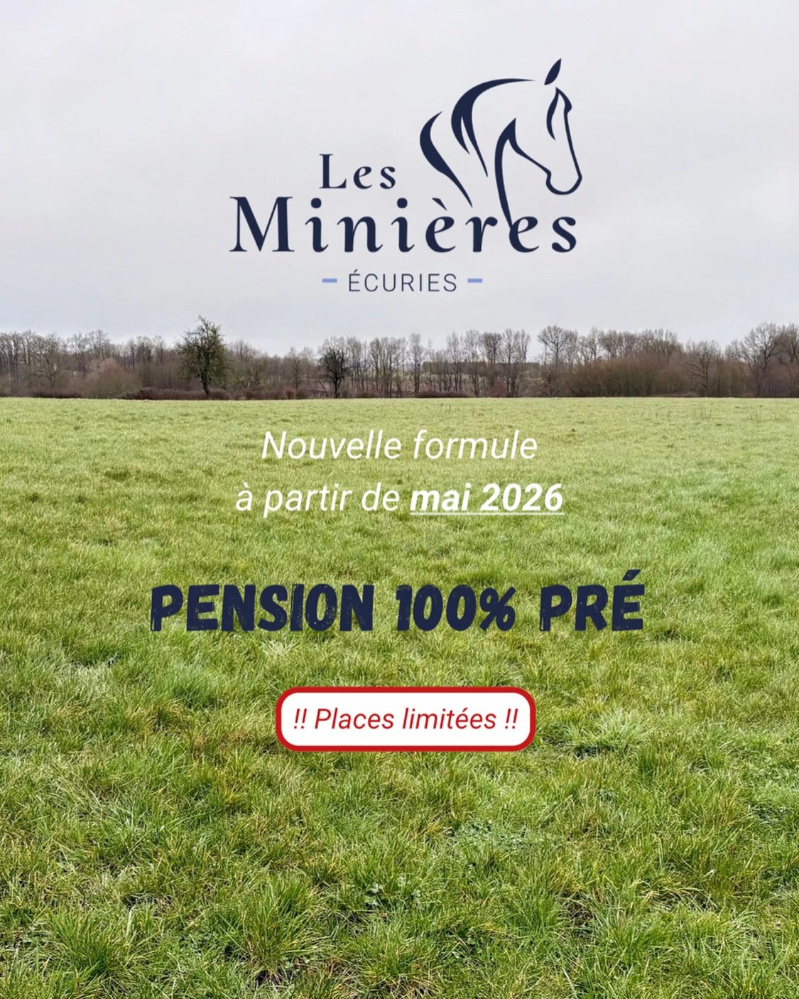 !!Nouvelle formule disponible &agrave; partir de mai 2026!!

Pension 100% pr&eacute; aux @ecurieslesminieres 
Parcelles de 3 hectares pour minimum 2 &agrave; 4 chevaux avec concept de prairie tournante, afin d&rsquo;optimiser la pousse de l&rsquo;her