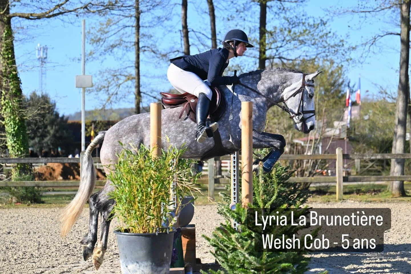 Premier grand concours et premier hunter pour Lyria aujourd&rsquo;hui au @pole_europeen_du_cheval .
Une demoiselle tr&egrave;s en forme qui a &eacute;t&eacute; top pour sa premi&egrave;re vraie sortie ❤️. Un avenir bien prometteur pour cette belle ju