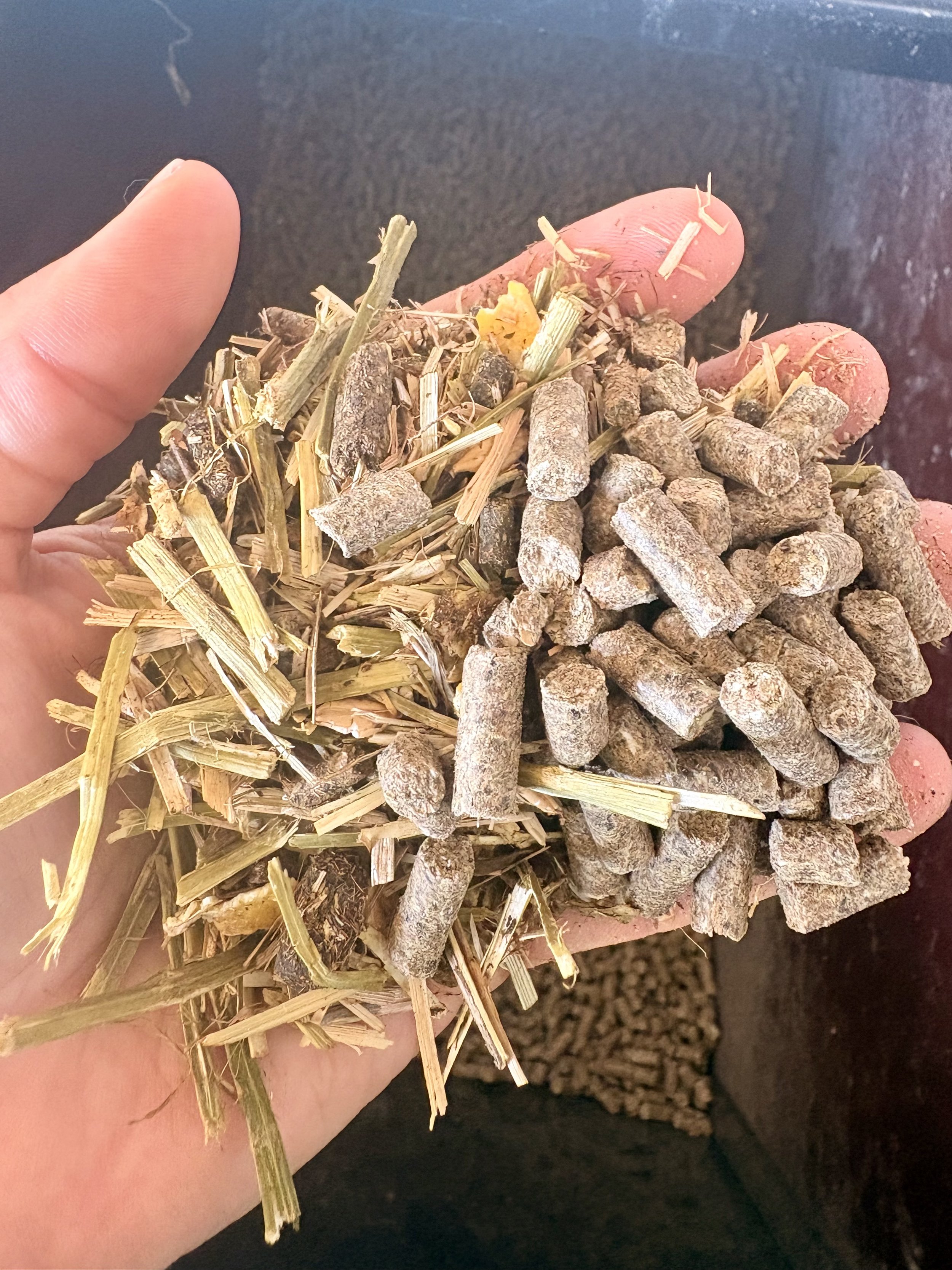 Granulés et fibres, alimentation pour chevaux