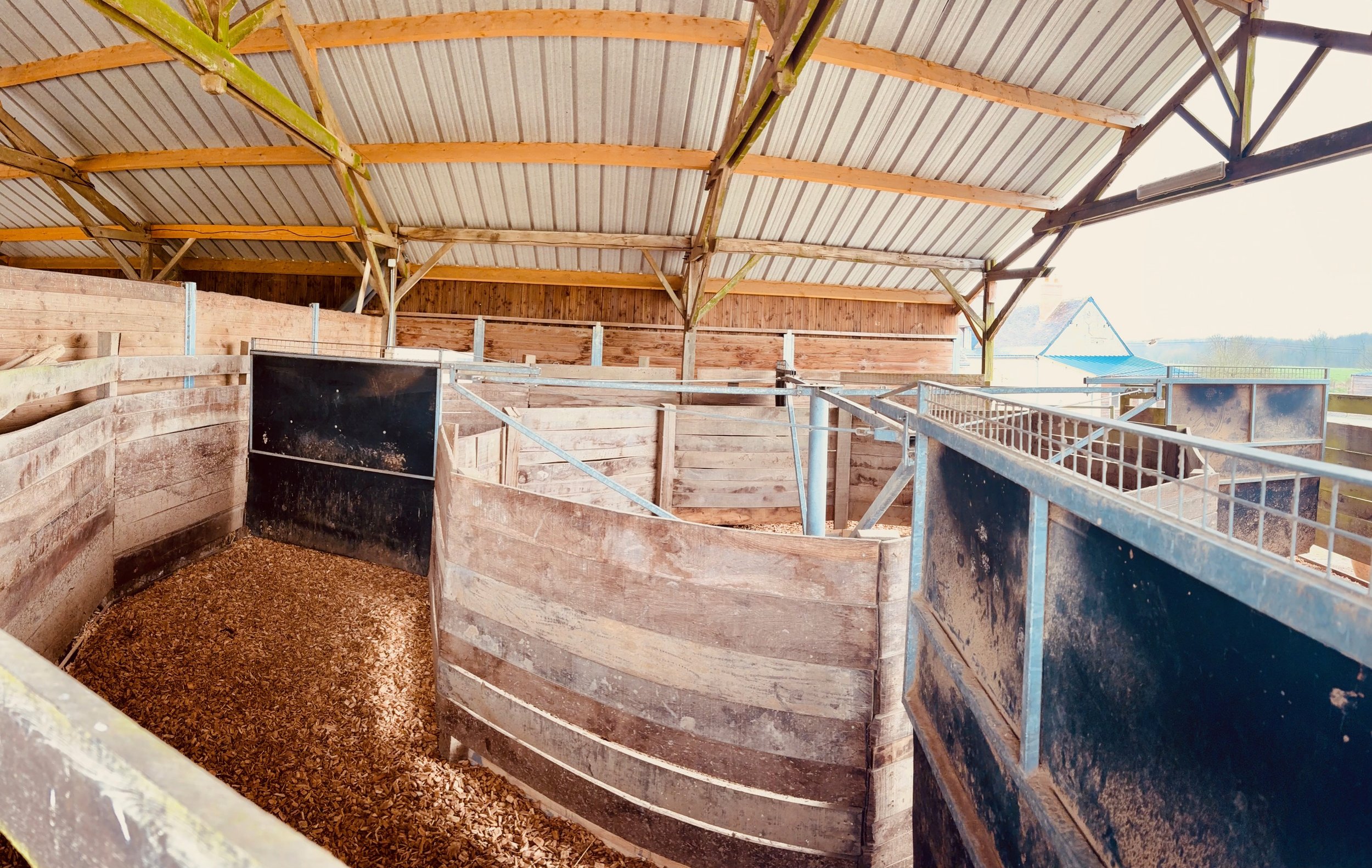 marcheur pour chevaux abrité