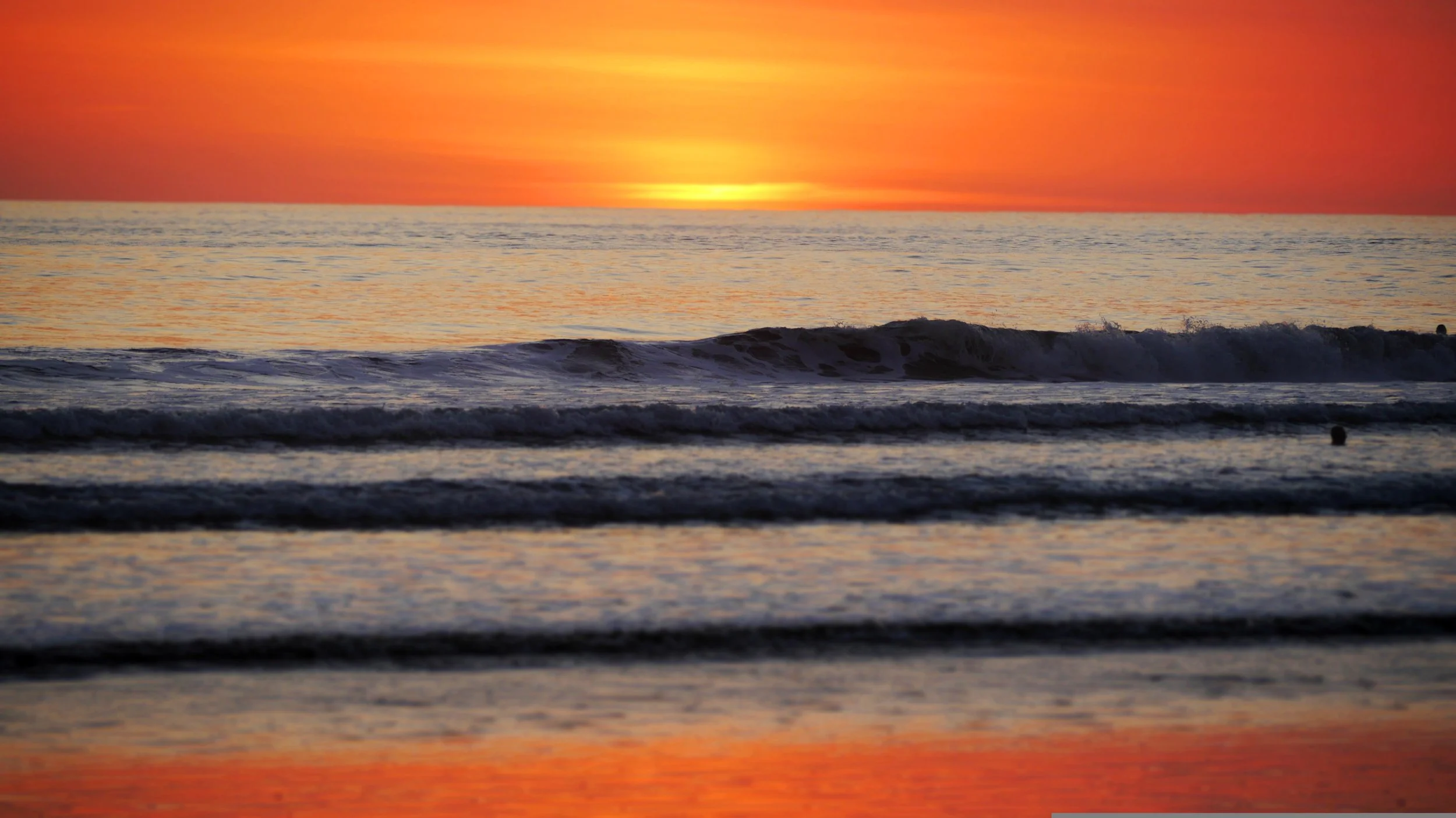 When to Surf Costa Rica: Seasons, Swell, and Weather Explained