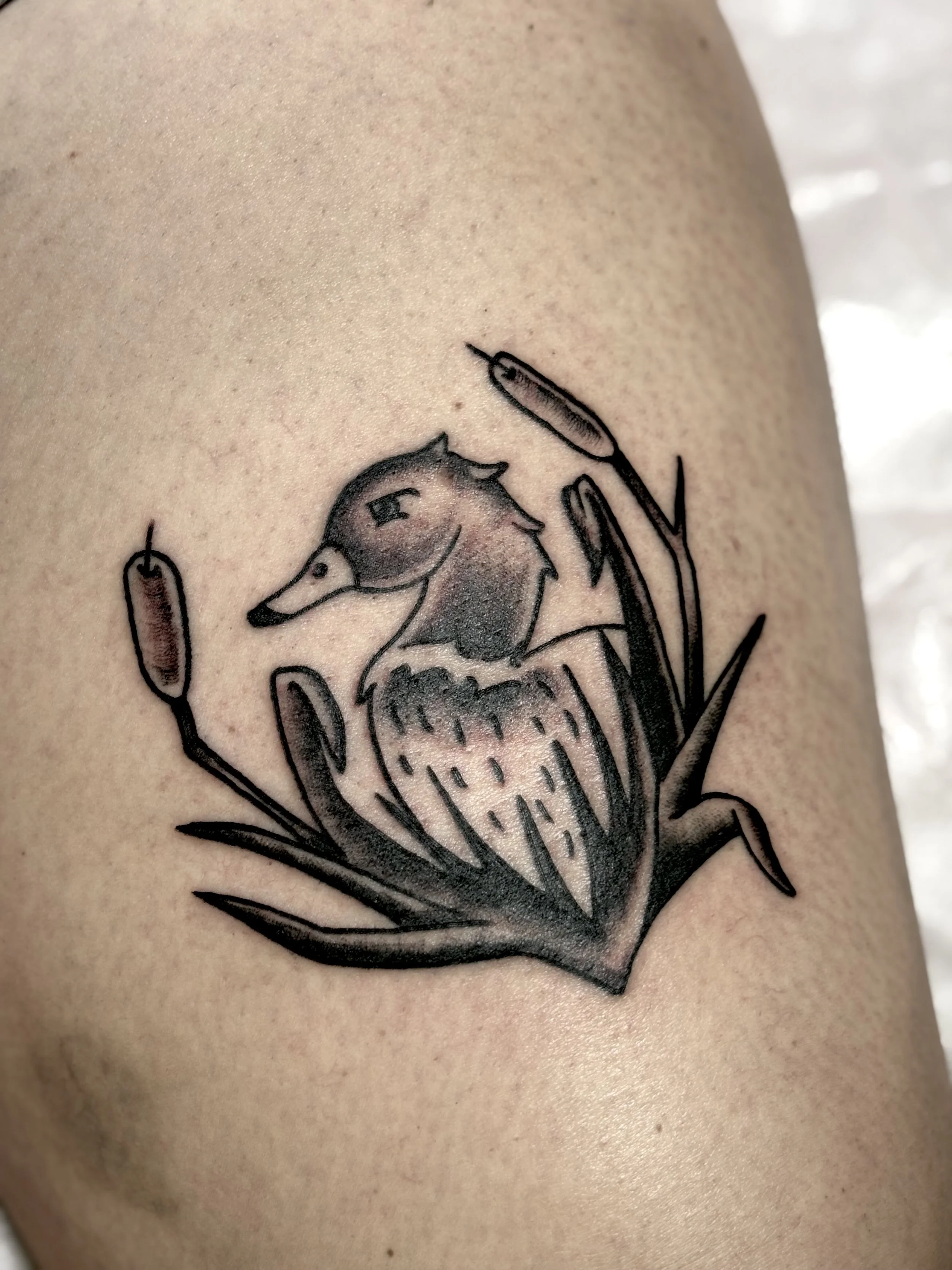 Close-up of a tattoo featuring a black and gray illustration of a bird's head with long feathers, surrounded by floral elements on person's skin.