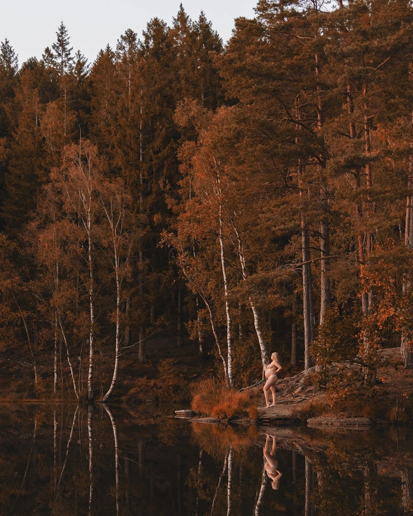 Jag tror att h&ouml;sten p&aring;minner oss om varf&ouml;r bilder betyder s&aring; mycket. Den visar hur snabbt allt f&ouml;r&auml;ndras, och varf&ouml;r f&ouml;r&auml;ndring kan vara vackert men flyktigt.

N&auml;r ett tr&auml;d &auml;r s&aring;d&au