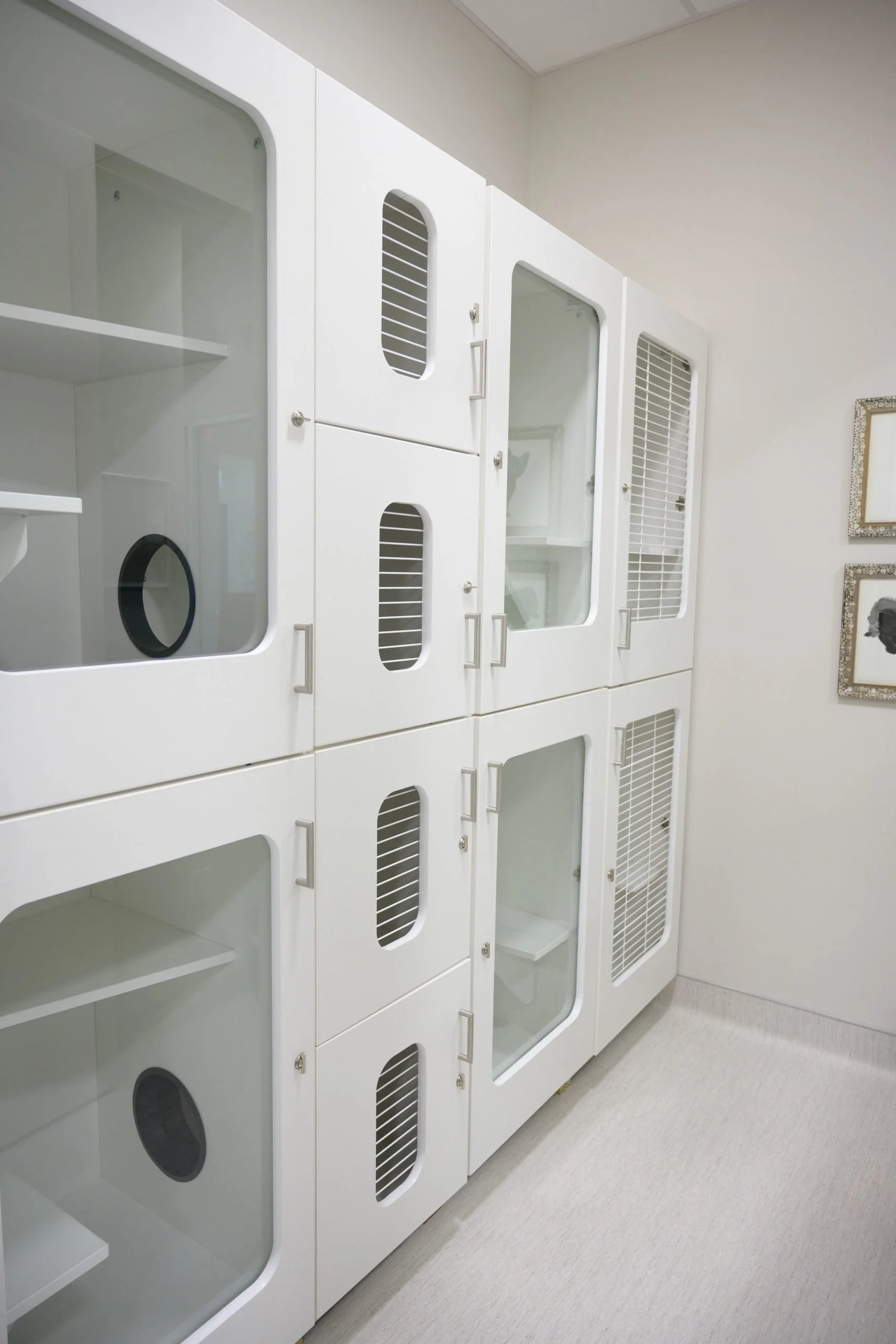 cat-kennel-scaled.jpg