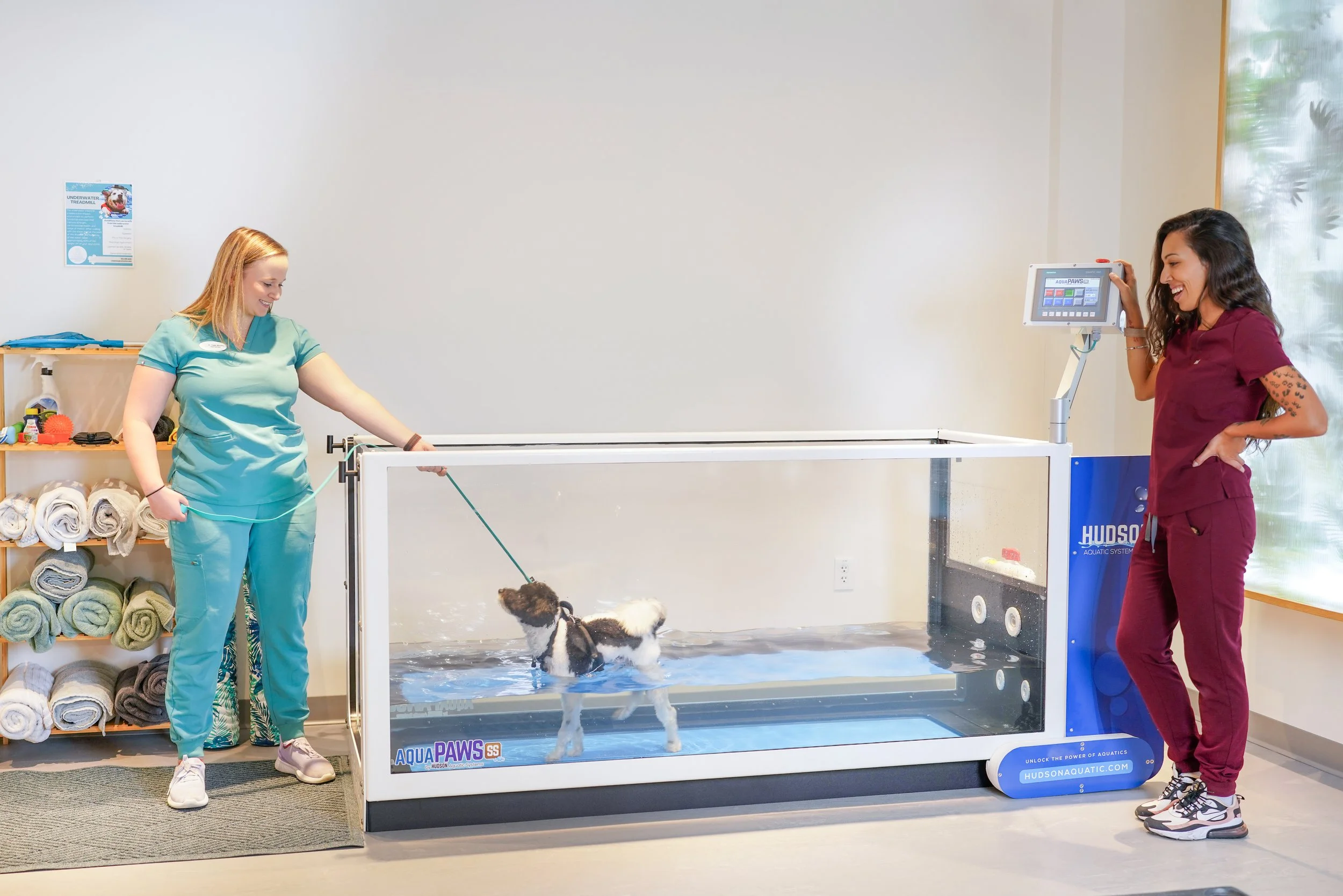 CANINE REHAB VET JC HOB NYC.jpg