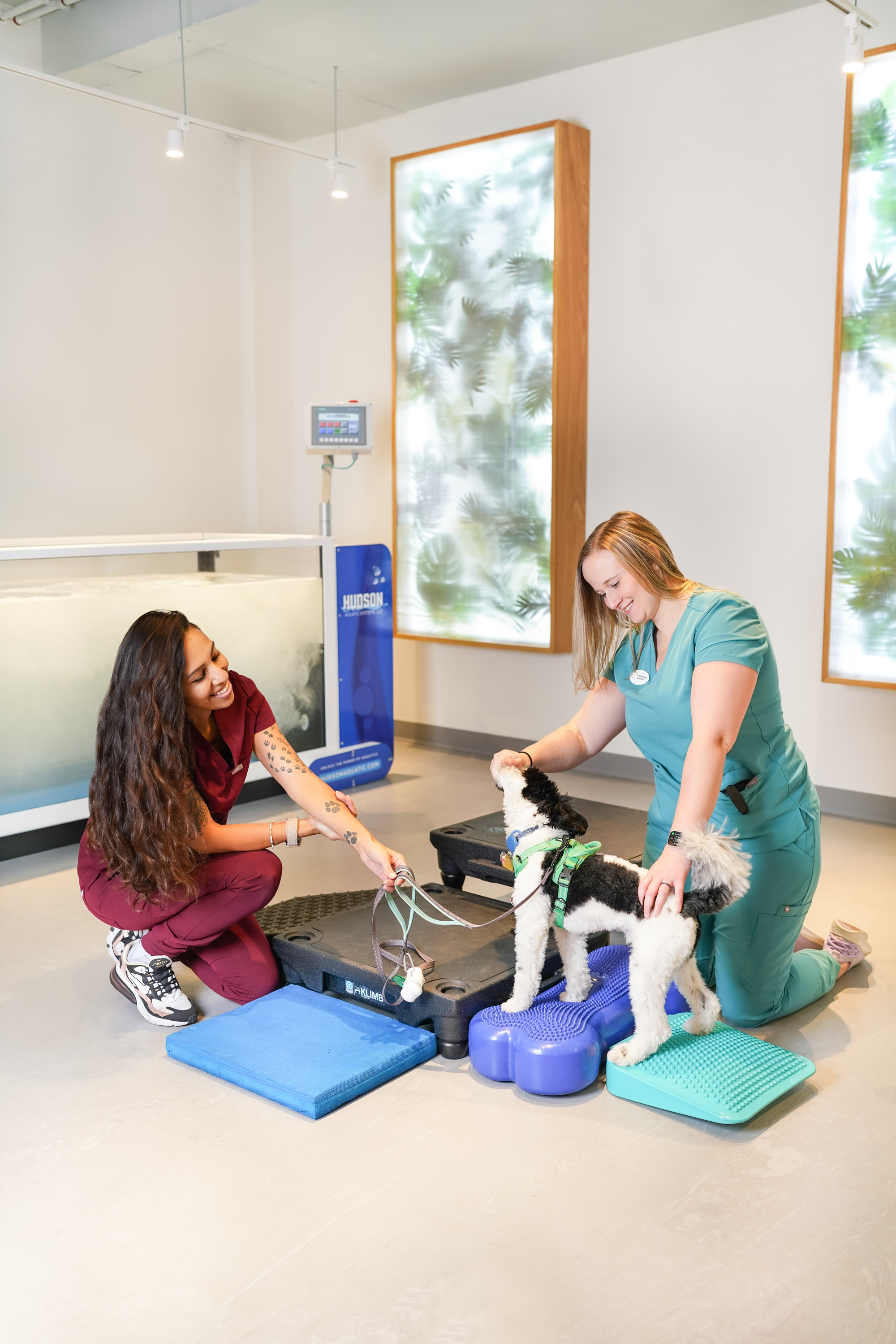 DOG PHYSICAL THERAPY NJ NY.png