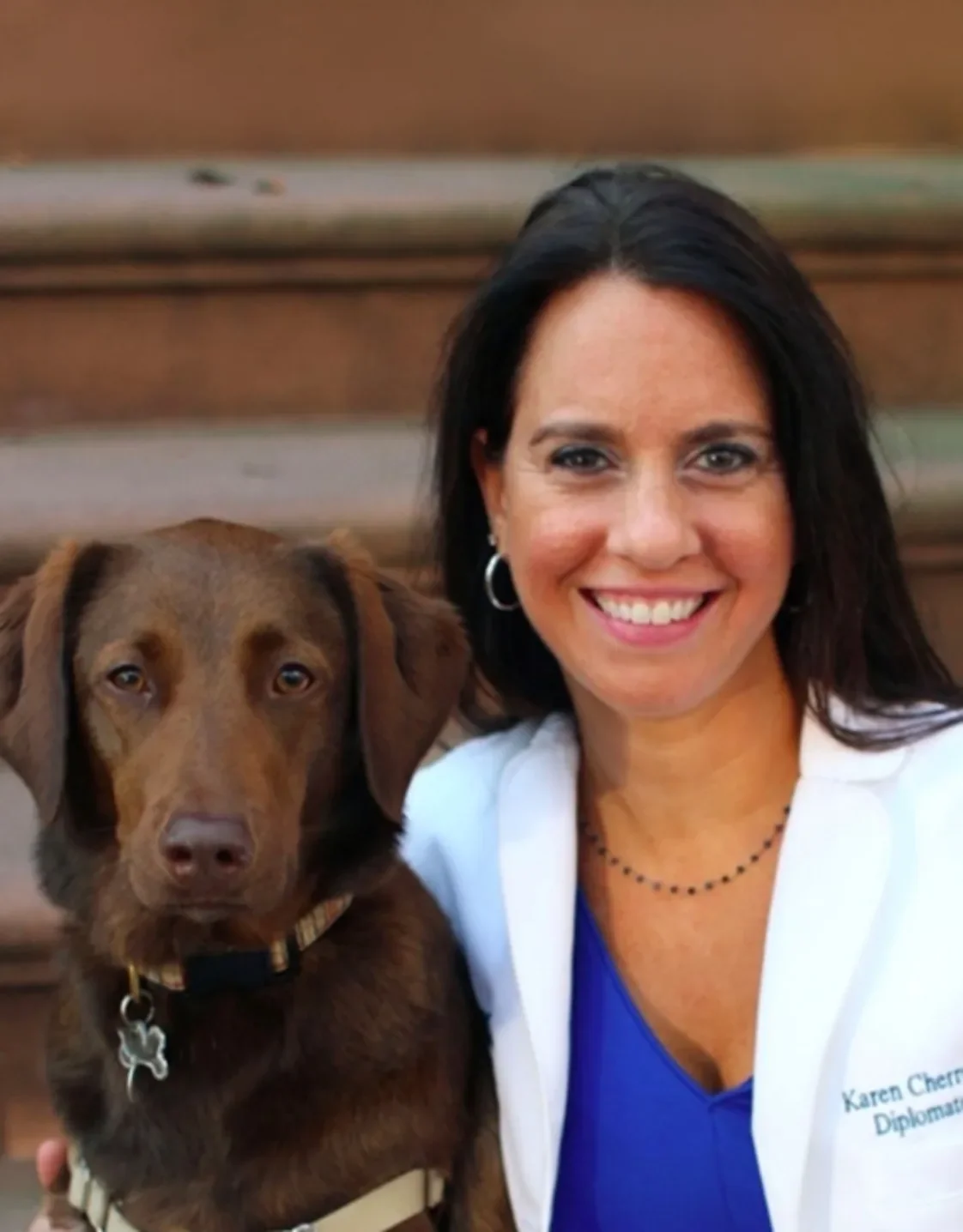 KLC Veterinary Surgical Services