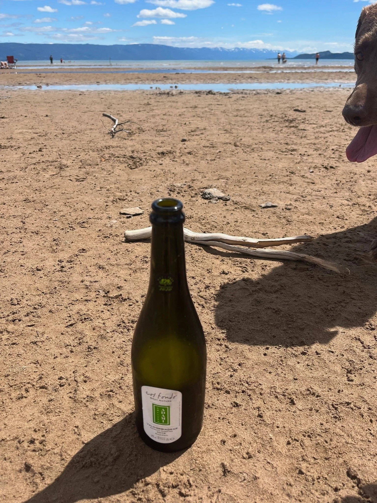 🍻 Weekend in a Can (and Bottle) ✨

From mountain trails to lake days, these hand-picked sips are perfect for whatever Montana adventure you&rsquo;ve got on tap:

🌸 Bright &amp; Bubbly Picks

Cap Fizz &ndash; Sparkling wine from Illahe Vineyards (OR