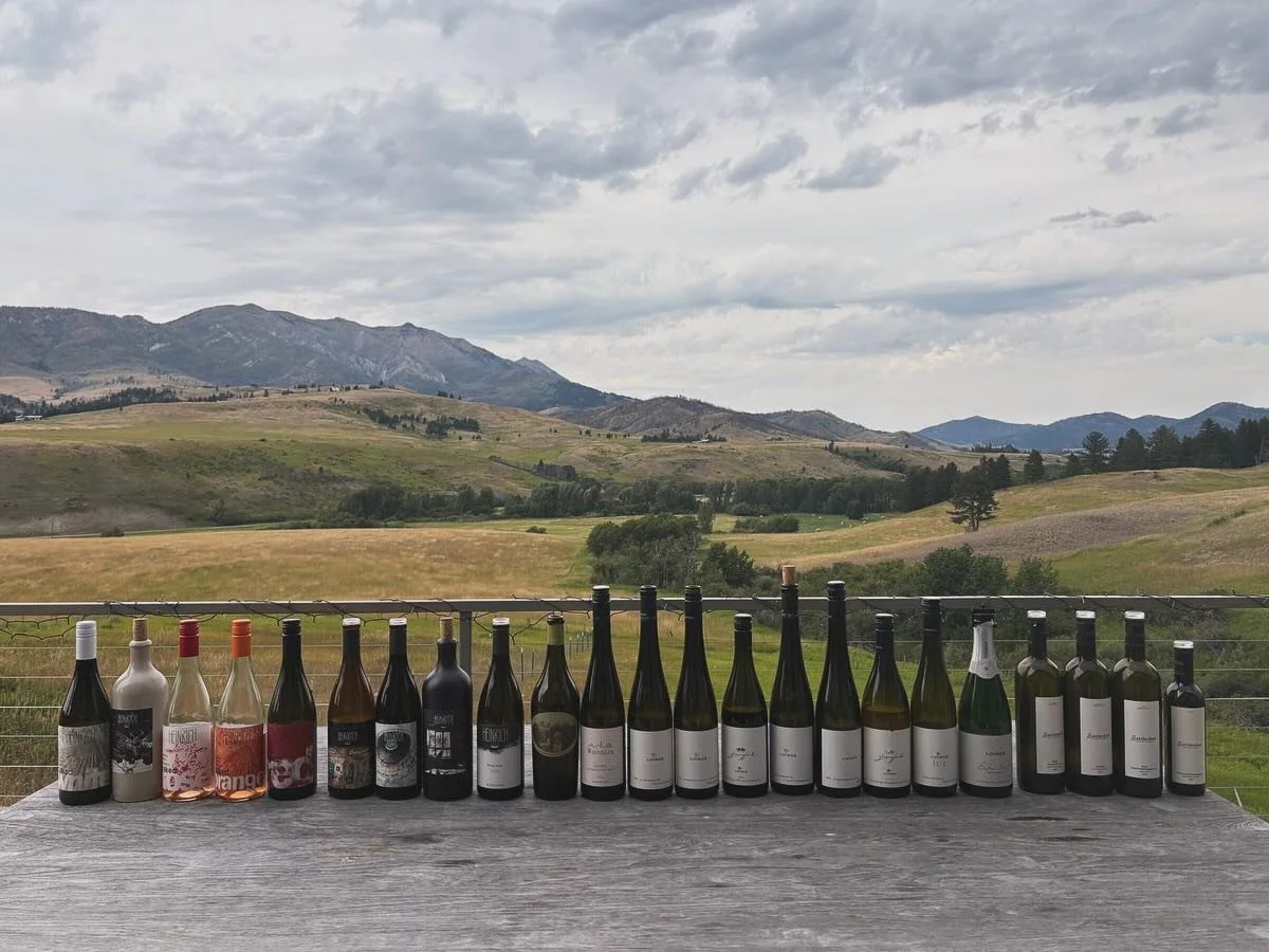 We had SUCH a great time hosting the amazing @stefanie_lobner of @premiumestatesofaustria around the state last week. These are truly some of the best wines Austria has to offer and was the perfect start to our August. If you missed her, be sure to n
