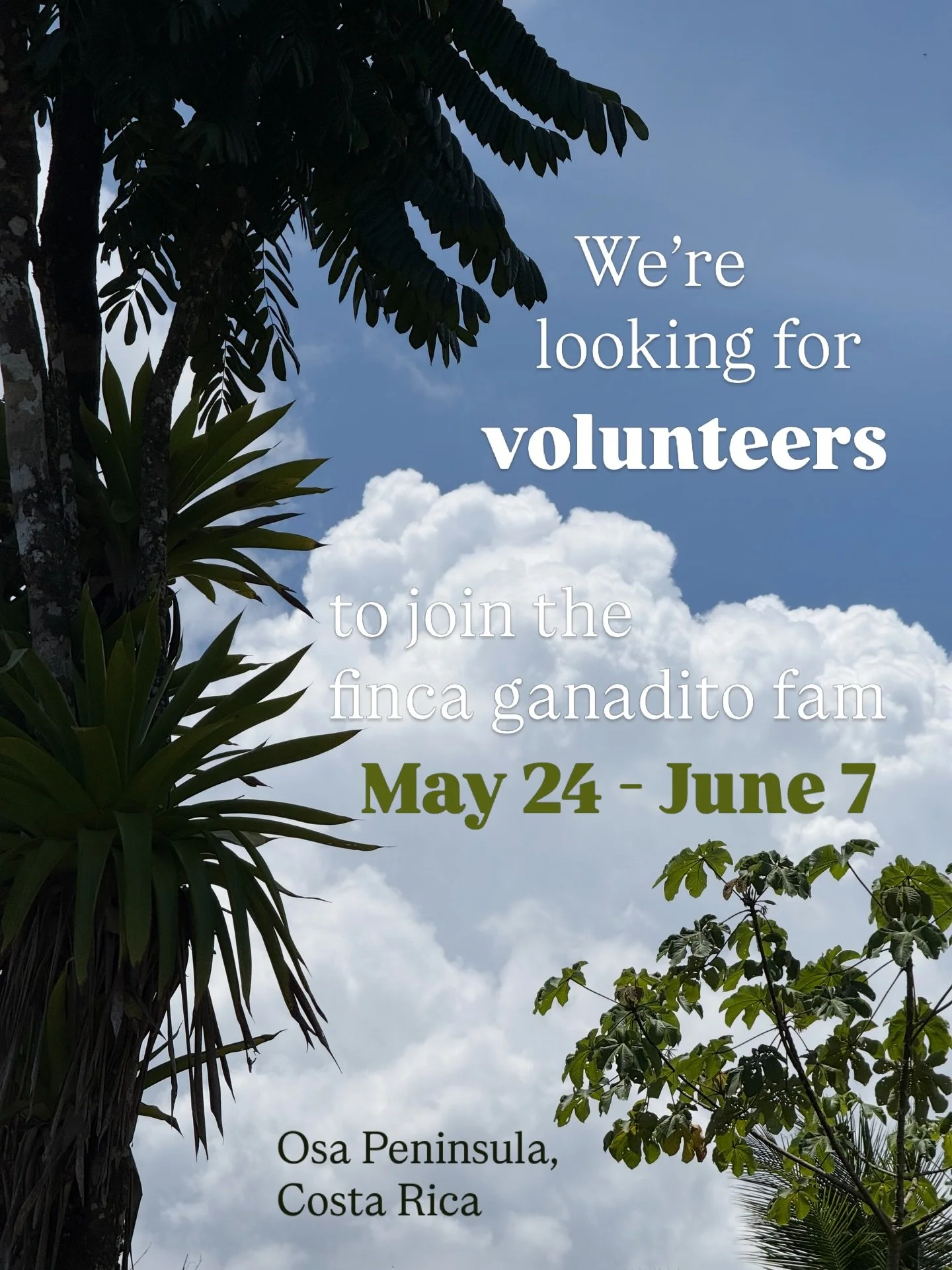 If you&rsquo;re ready to get your hands dirty with mineral rich soil, master a machete, and sweat your peach off in the Costa Rican rainforest, while also enjoying the wildlife and untouched nature the Osa peninsula has to offer&hellip; join the Finc