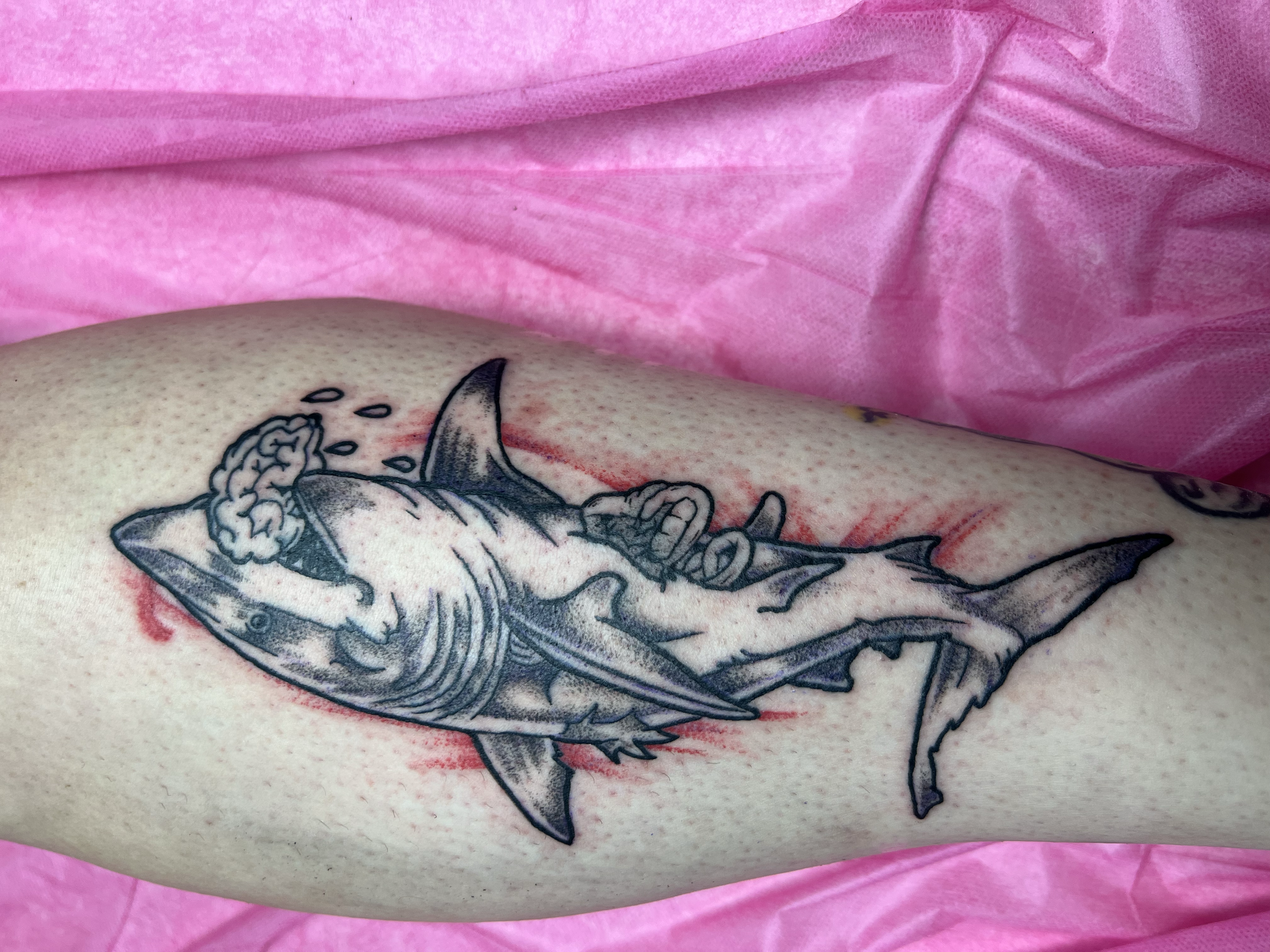 Tattoo of a shark with a brain on top, lying on a pink blanket.