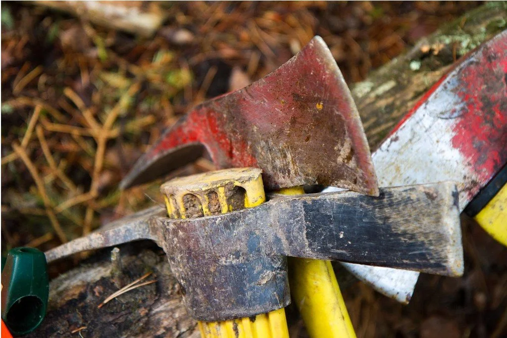 RCA Dig Days and Nights