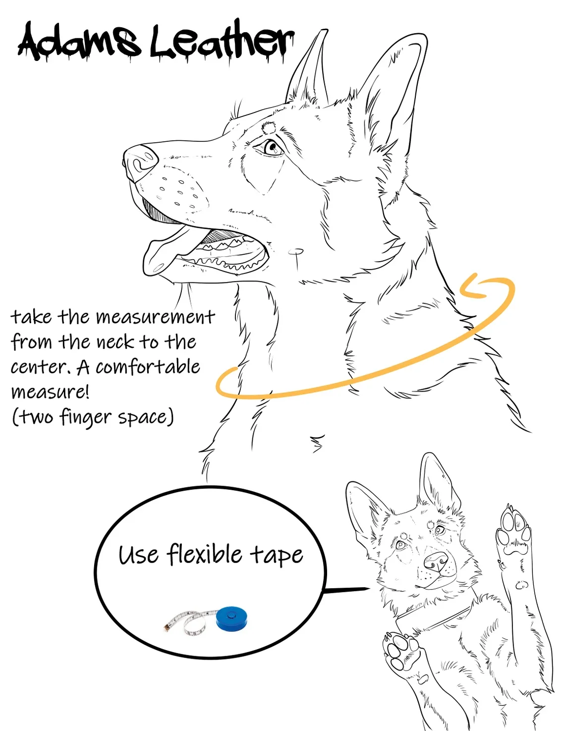 il_1140xN.6384834891_amx6.webp