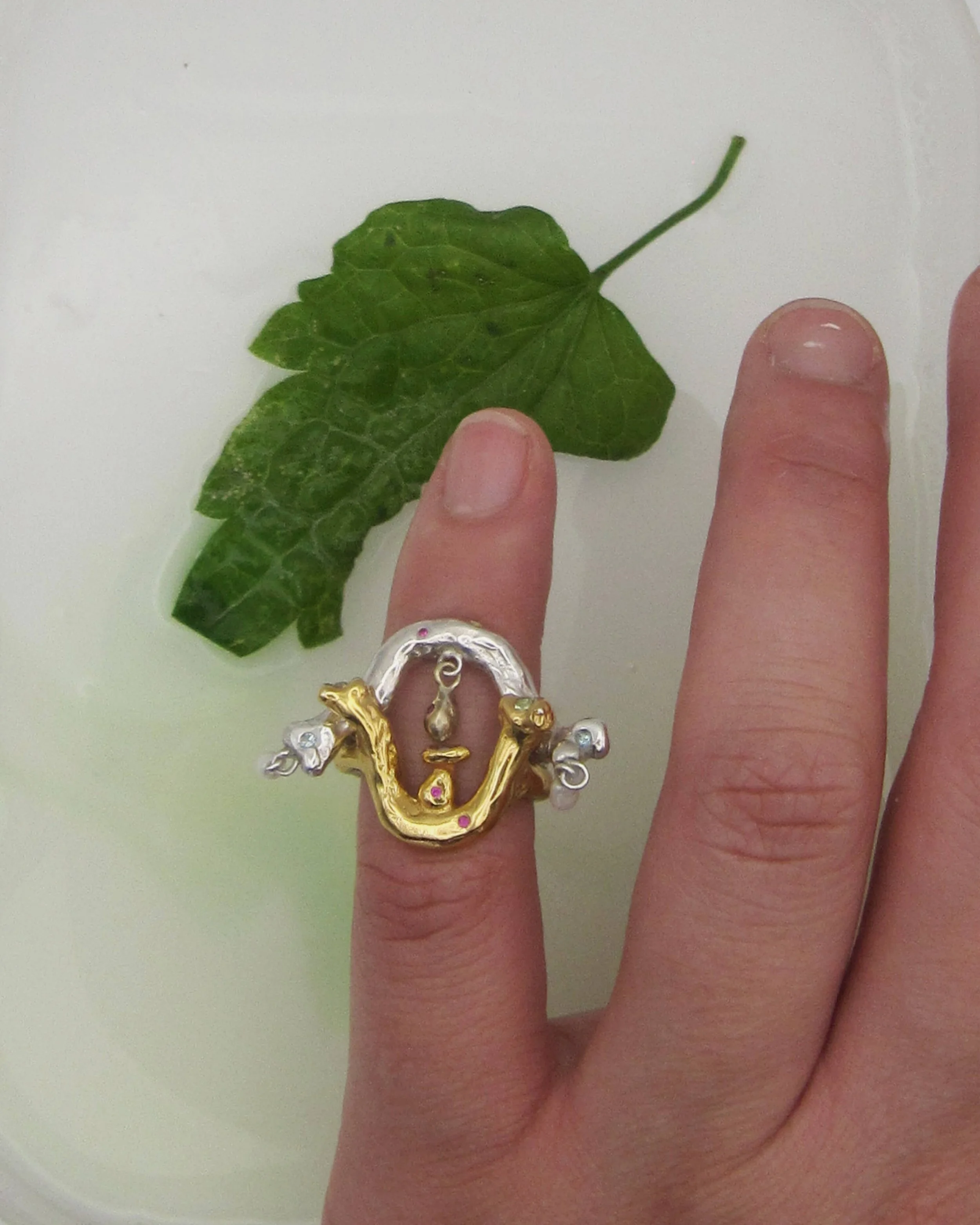 Double-Mata Ring