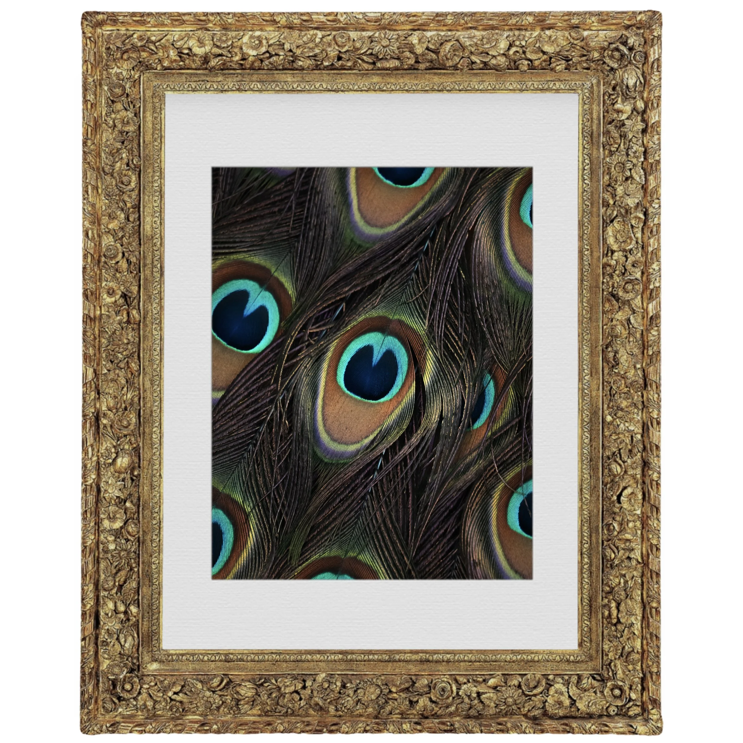 Digital & Web Design