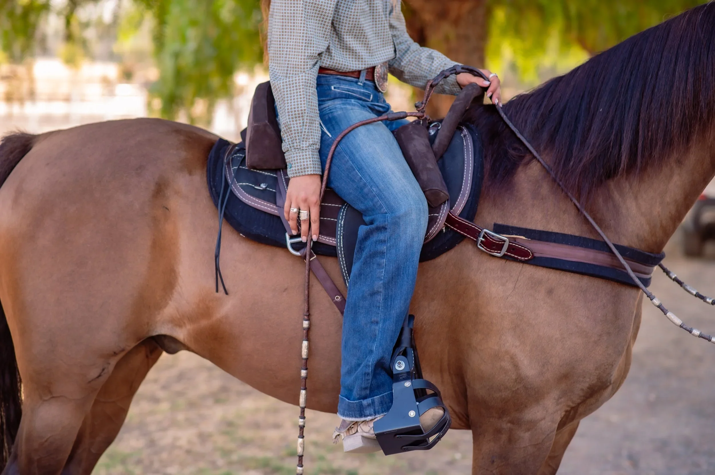 sage equine treeless saddles, san luis obispo, california