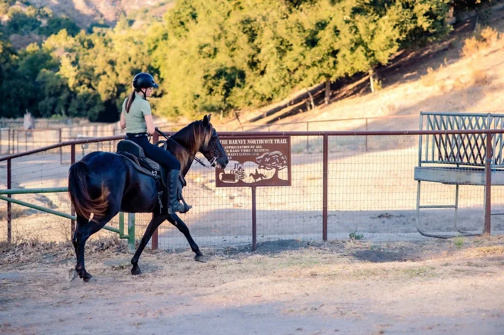 Sage Equine, Treeless saddles, san luis obispo, california