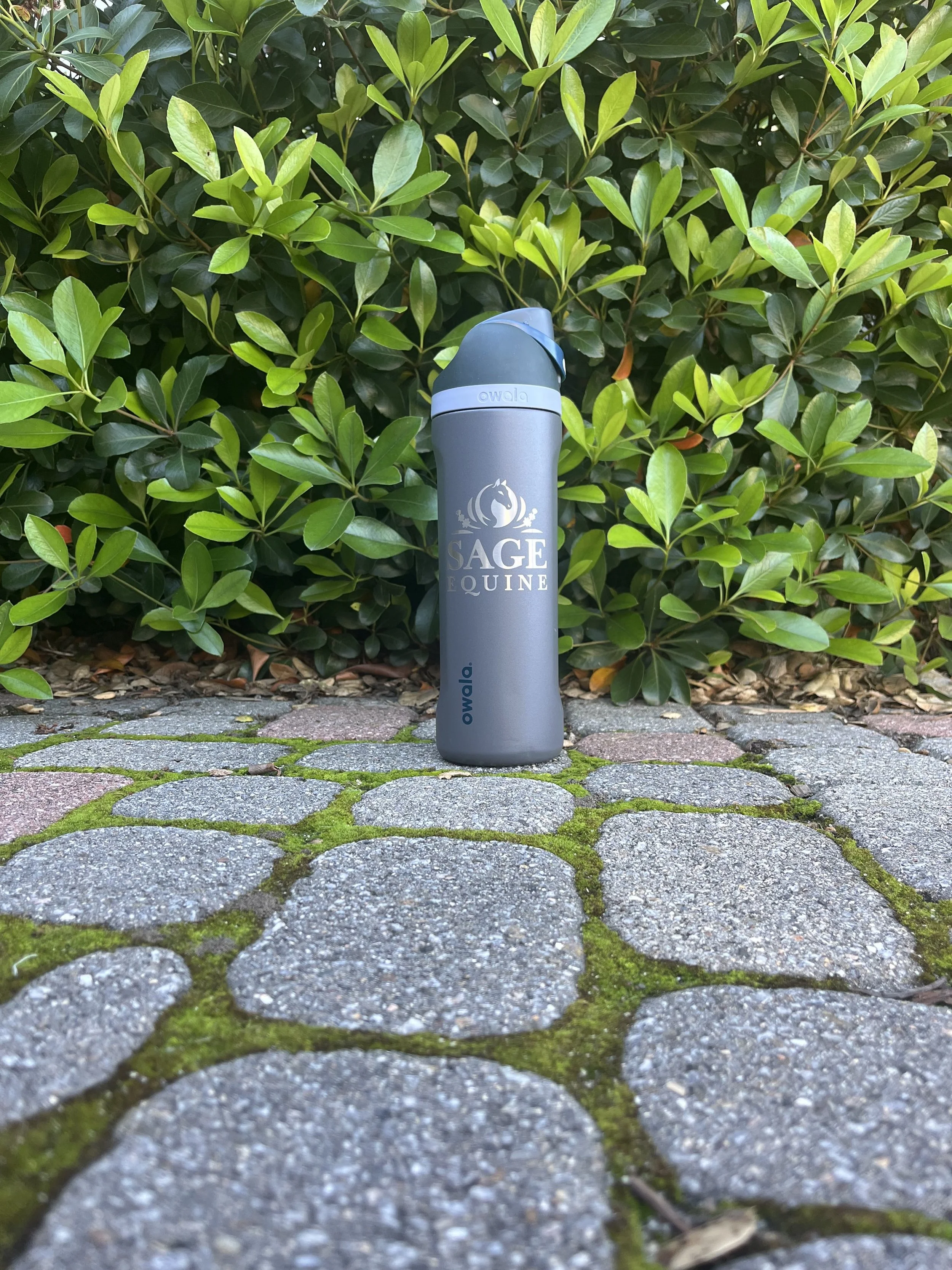 Sage Water Bottle