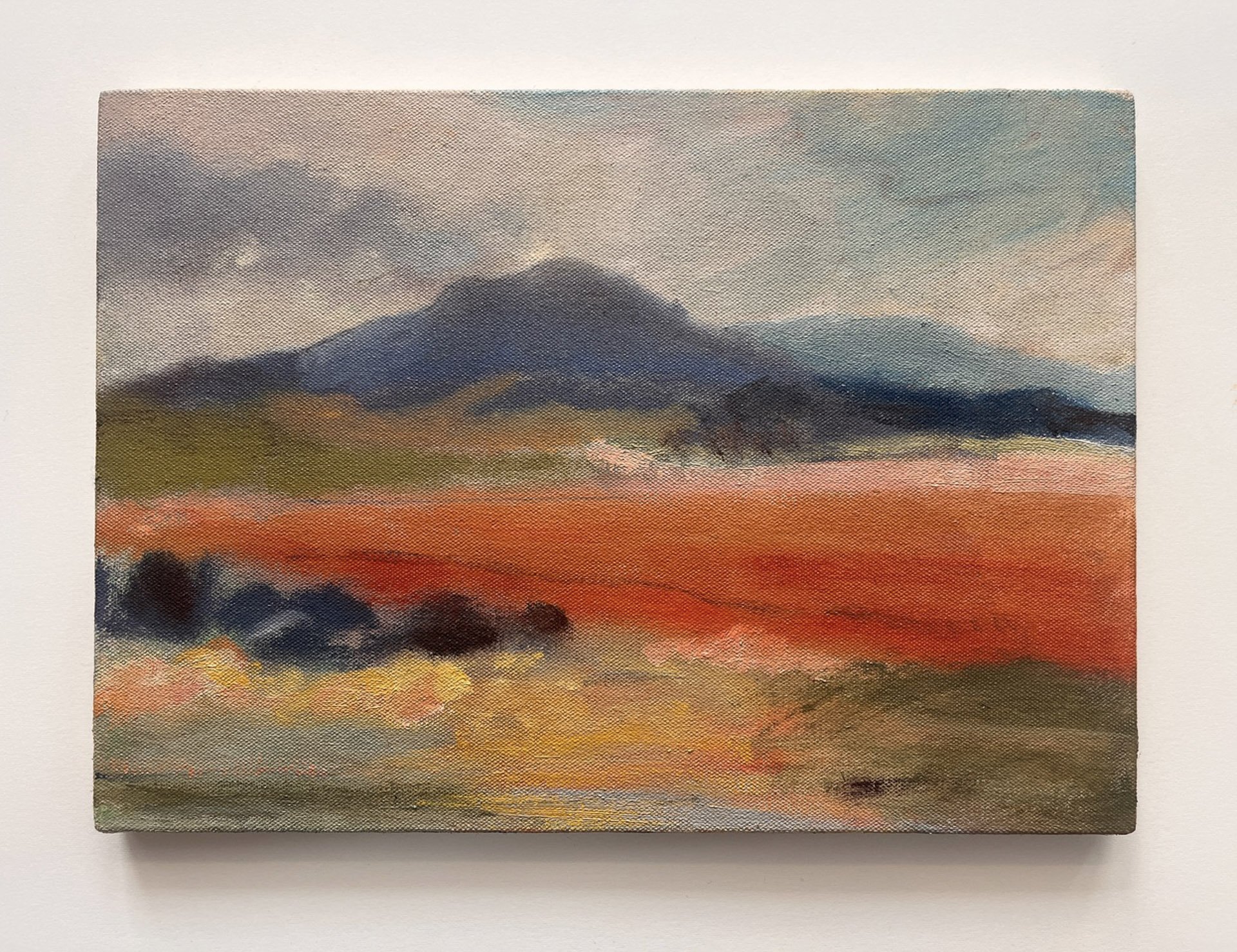 Sammi Lynch
Passing Red Fields, 2024
Oil on canvas, mounted on
wooden panel
27 x 21 cm (11 x 8 in)