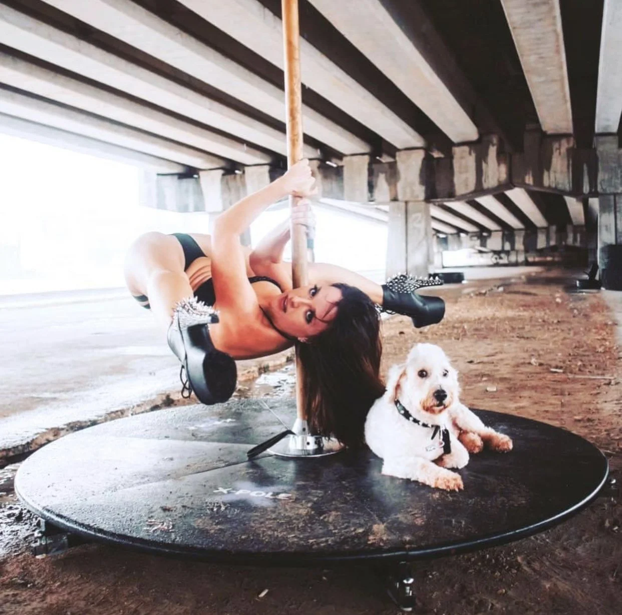 Woman performing pole dance under a bridge with a white dog sitting on a platform.