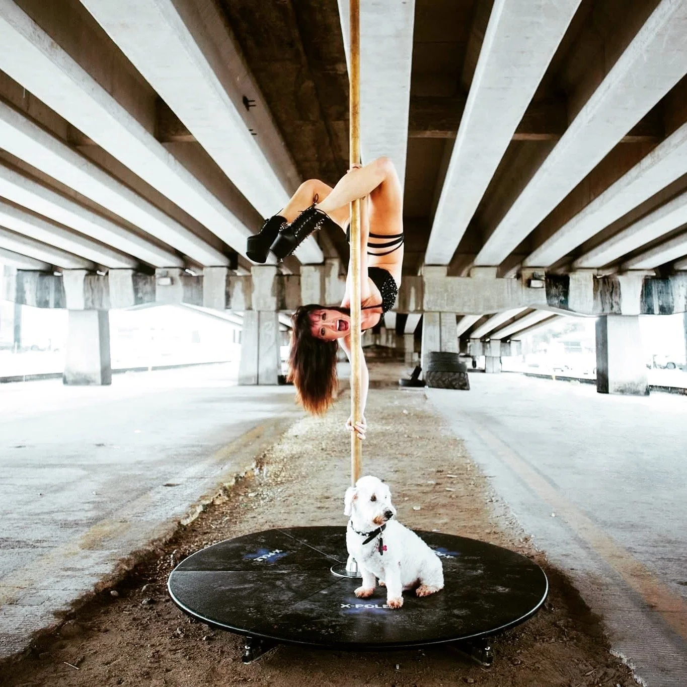Pole dancer performing upside down on a pole under a bridge, with a small white dog sitting on a platform beneath the pole.