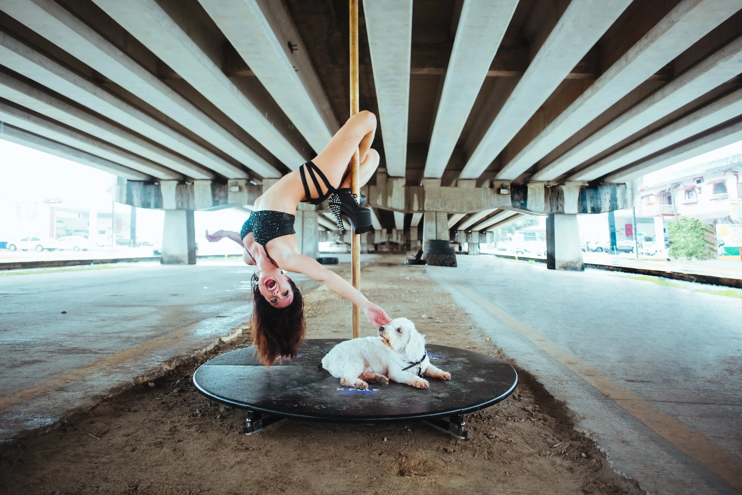 Woman pole dancing under a highway bridge with a small white dog on a platform.