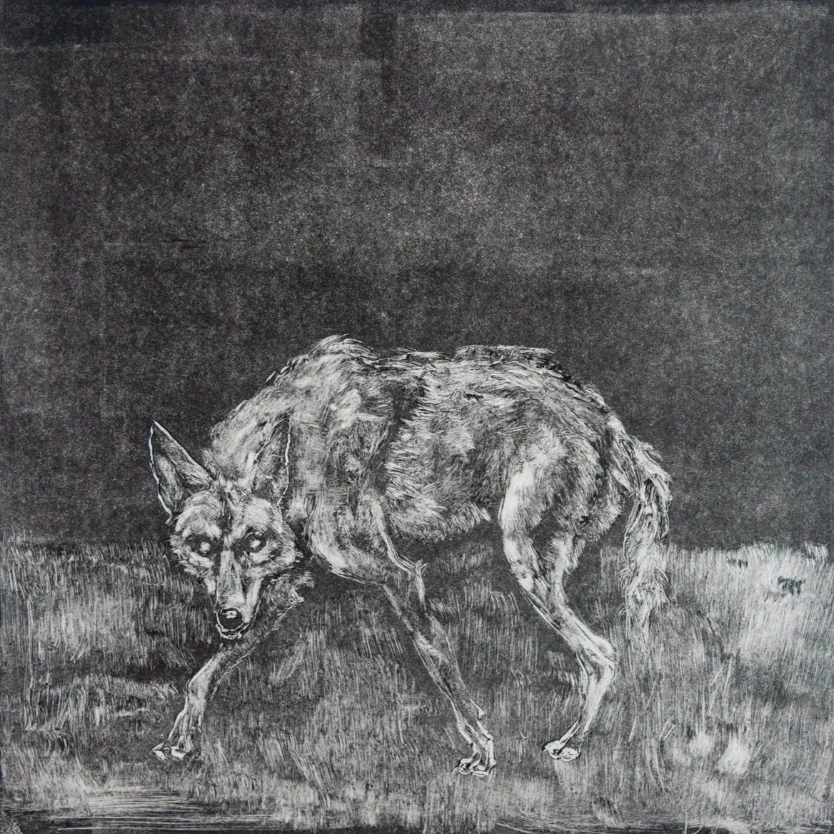 Allegory of Want Series