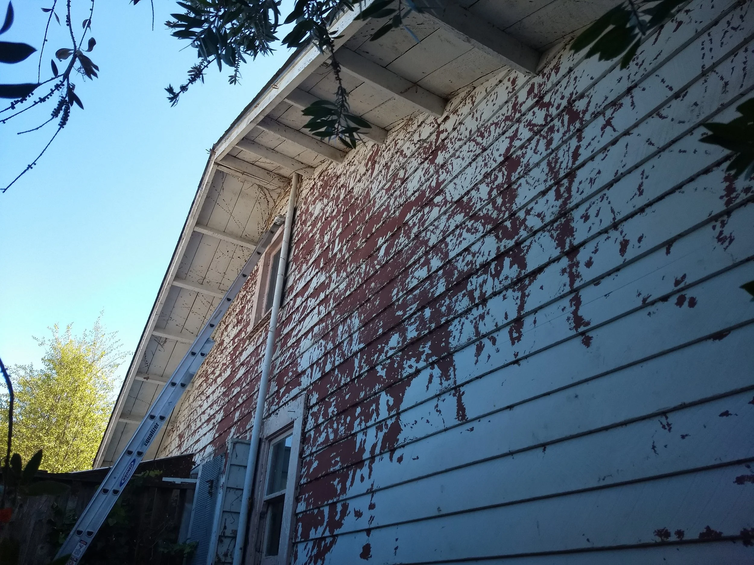 Residential exterior repaint with detailed preparation and smooth paint coverage in Berkeley