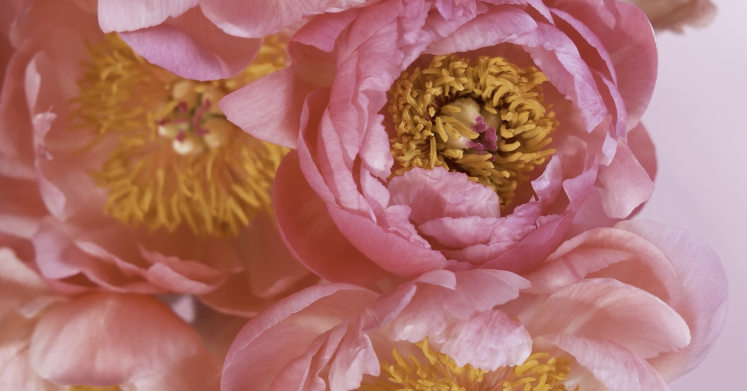 Screenshot 2026-01-30 at 13.00.44.png