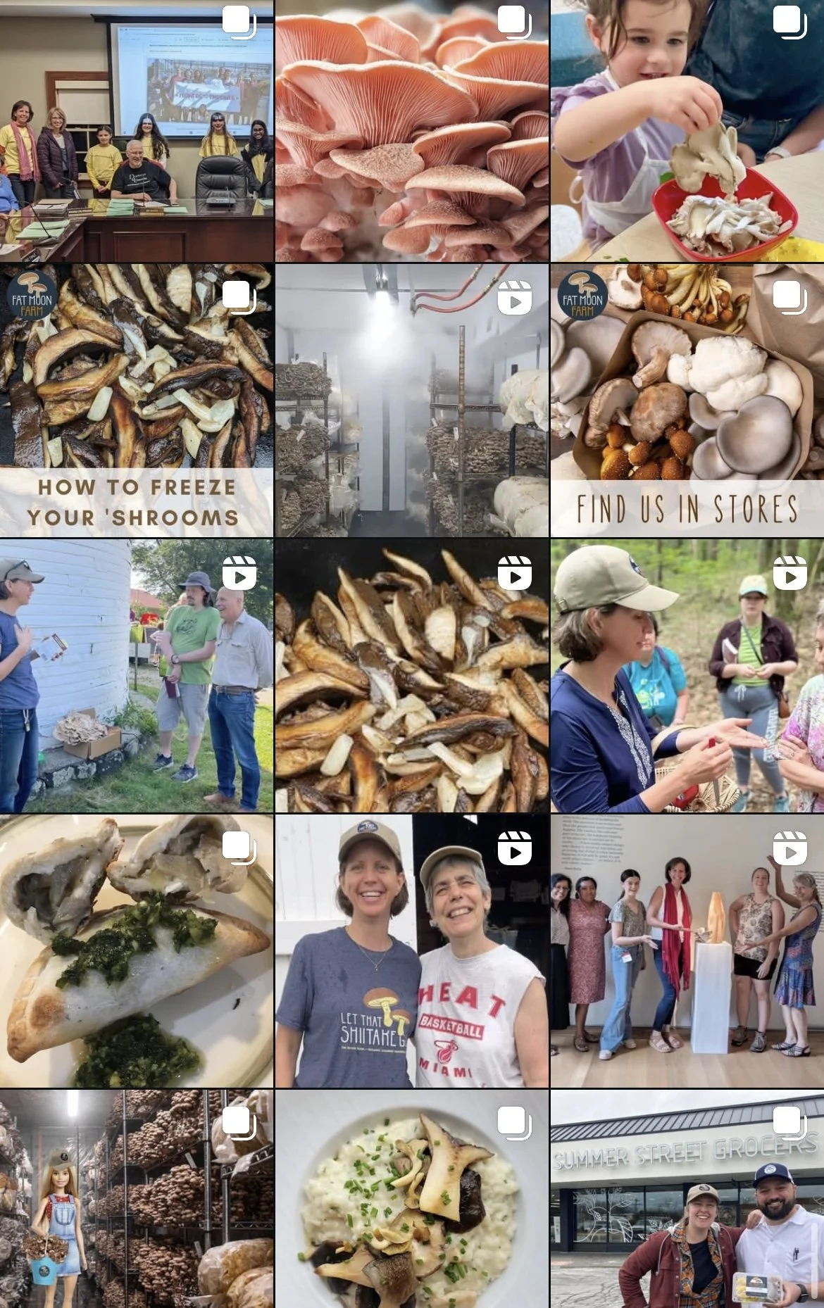 A collage of multiple images showing people at mushroom farms and markets, mushroom dishes, and related content.