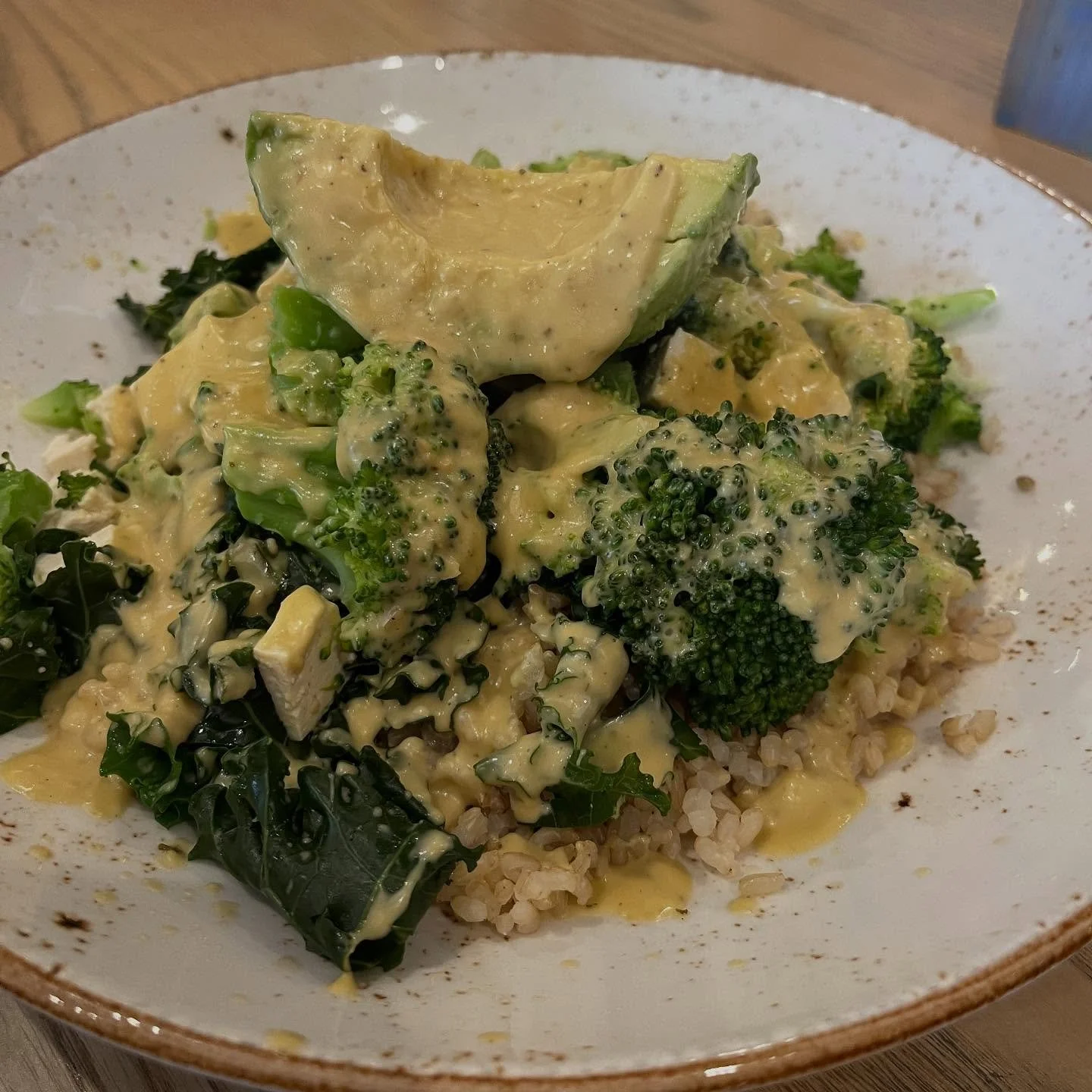 📍Life Alive Organic Cafe

Life Alive is one of my favorite places!! They are so good with all kinds of dietary restrictions, and everyone who I&rsquo;ve brought here that does not avoid anything loves it too! 

My go to is definitely a grain bowl fr