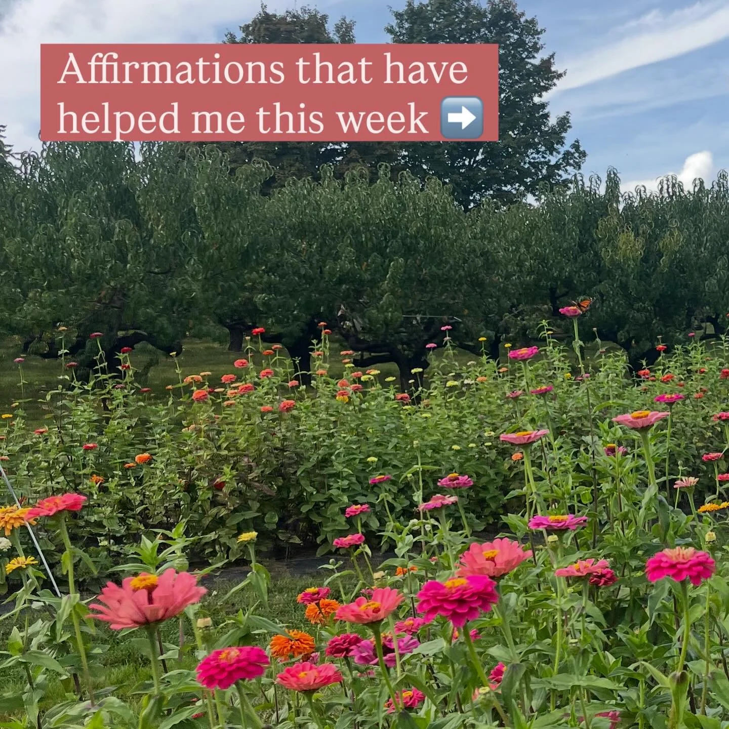 I often feel the pressure to have things &ldquo;all figured out&rdquo;&hellip; even though I know this isn&rsquo;t true or helpful ✨

Here&rsquo;s what&rsquo;s been helping me as I navigate those feelings this week 🩷 

Aaaand back to my blanket coco