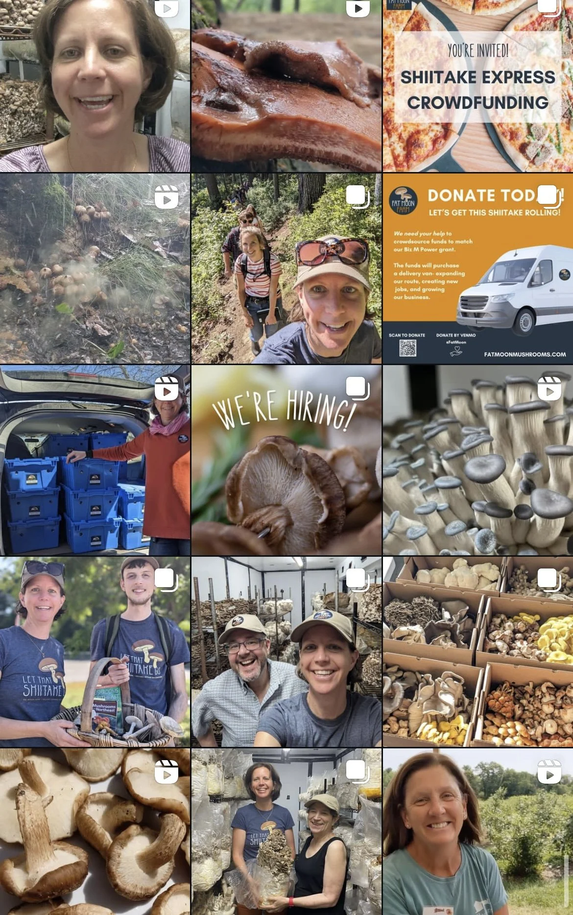 A collage of images including a woman smiling, a close-up of a mushroom, an invitation to a crowdfunding event for Shiitake Express, a forest scene with mushrooms, a woman leading a hike, a 'We're Hiring' mushroom sign, mushrooms, a woman with mushro