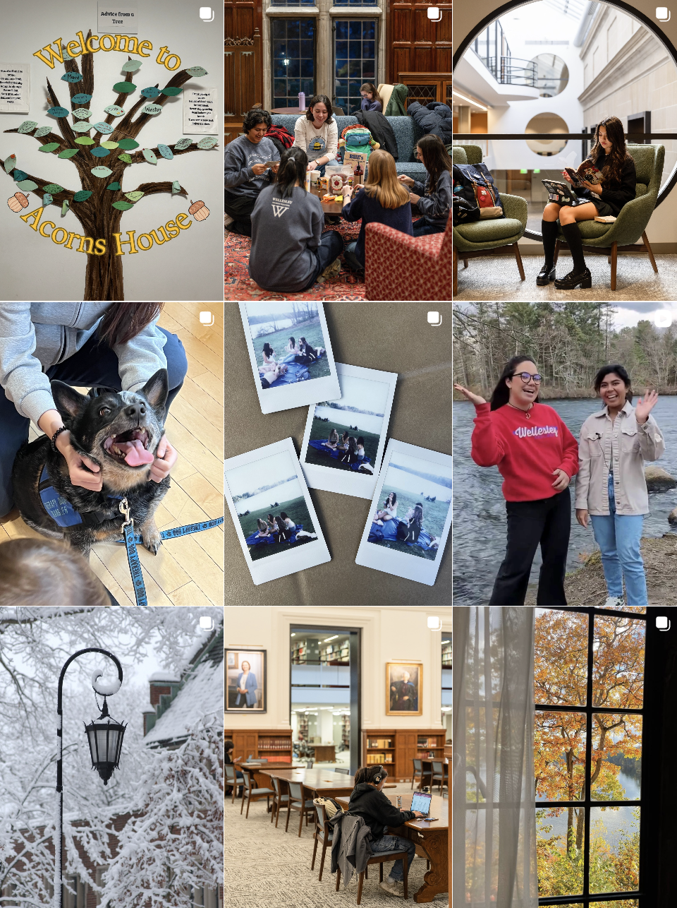 Collage of nine images: a welcome sign for Acorn House, a group of girls sitting in a library, a girl reading in a modern lobby, a person petting a happy dog, a set of Polaroid pictures of friends outdoors, two girls smiling by a river, a snow-covere
