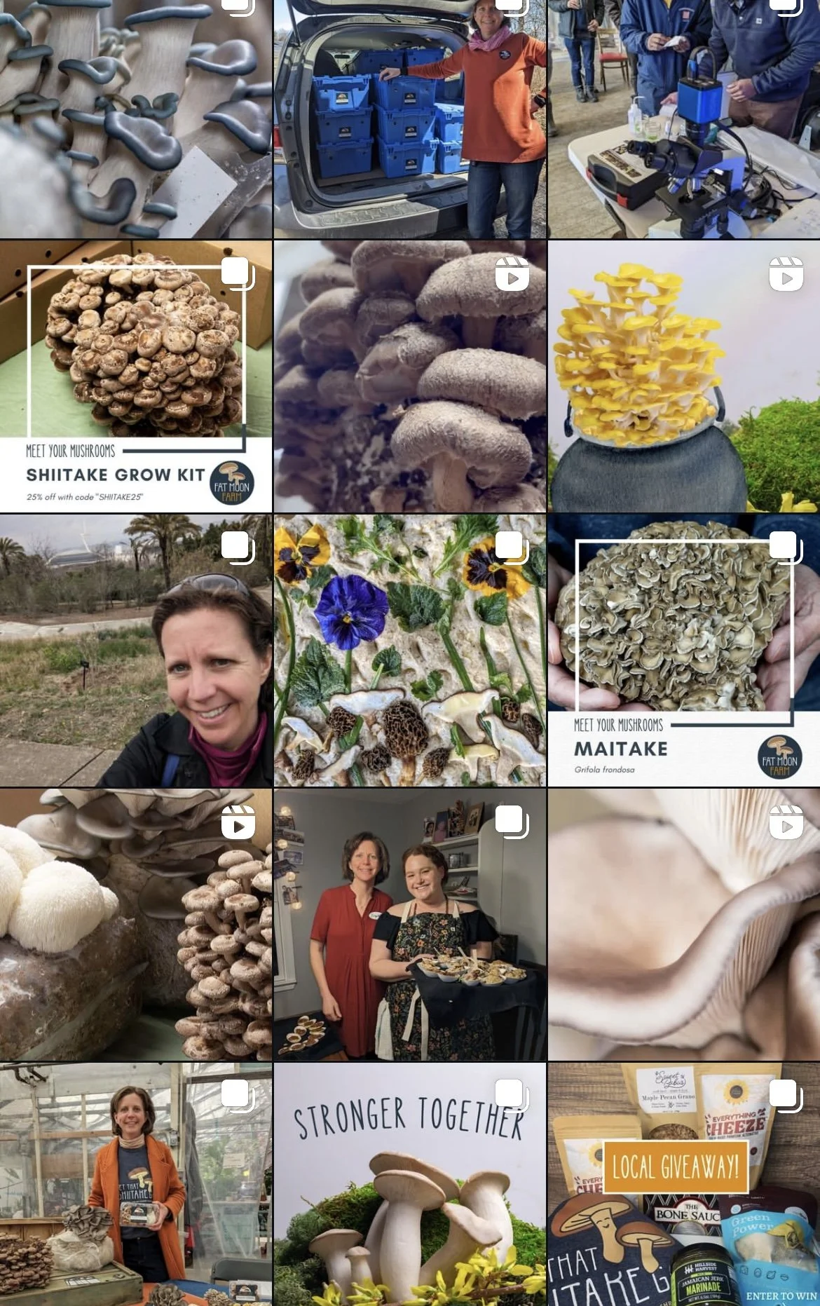 A collage of mushroom-related images, including different mushroom varieties, people at a mushroom farm and market, and mushroom-themed promotional materials.