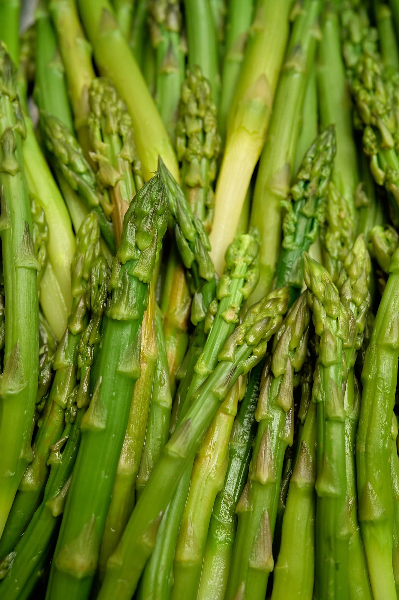 Close-up of fresh green asparagus spears.