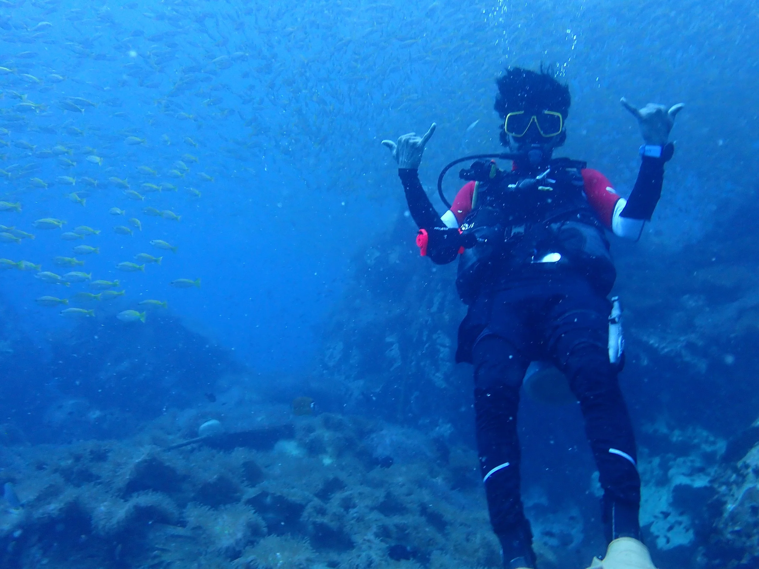 OPEN WATER SCUBA